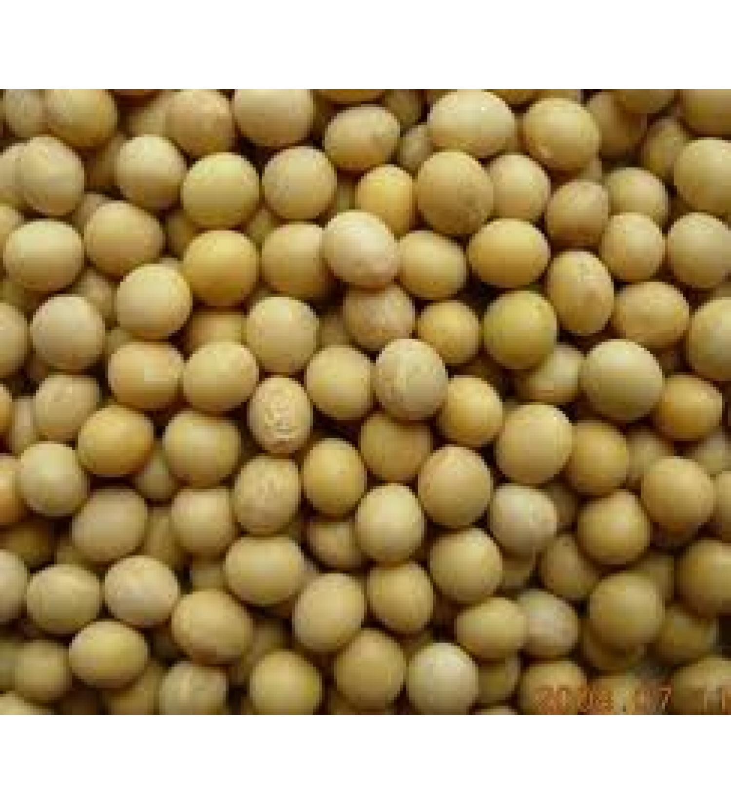 Balsara's 500g - Soy Bean Soy Soy Bean Fat Free Soy Protein