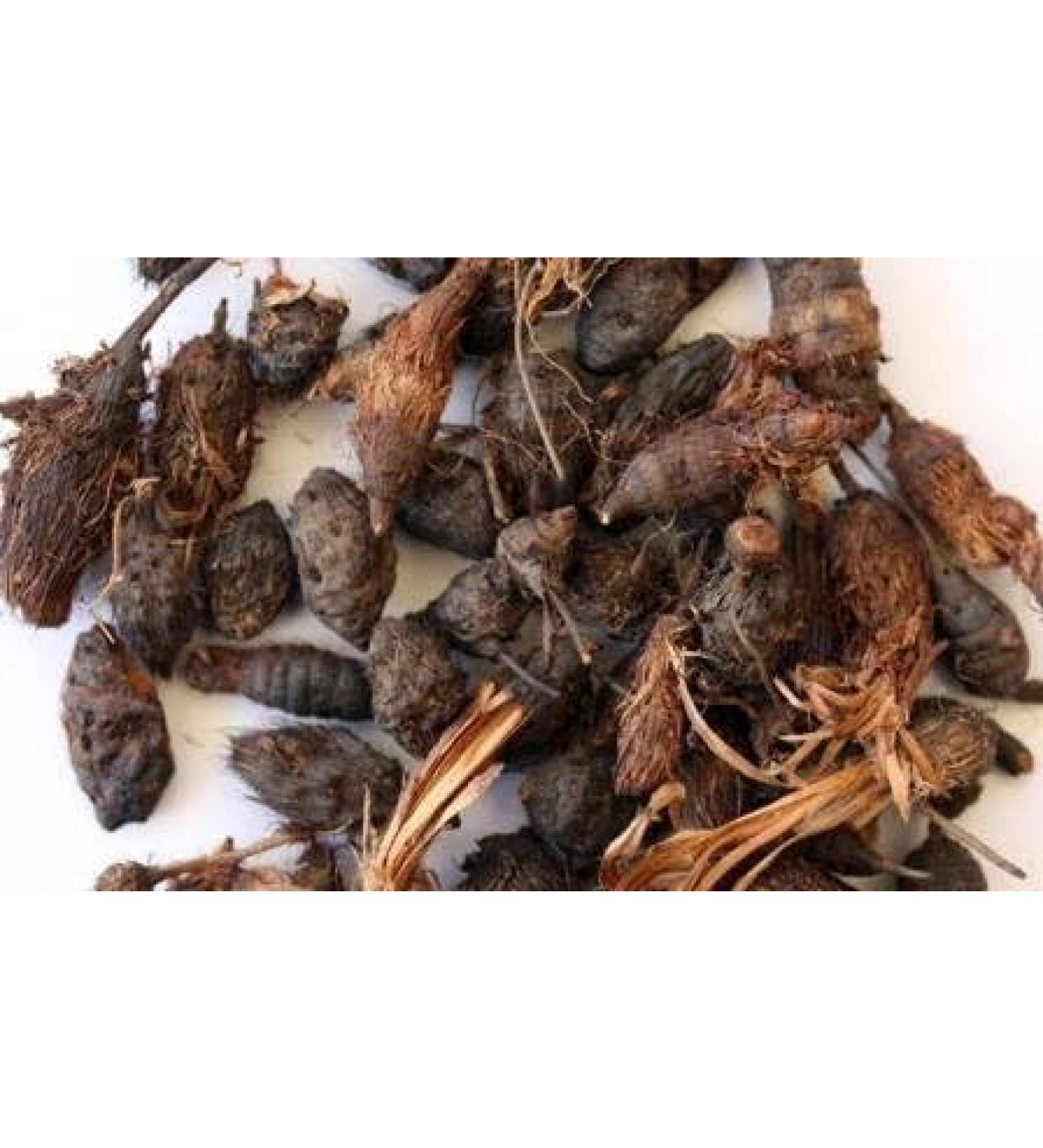 NAGARMOTHA - MUSTAK - Cyperus ROTUNDUS - 250 g