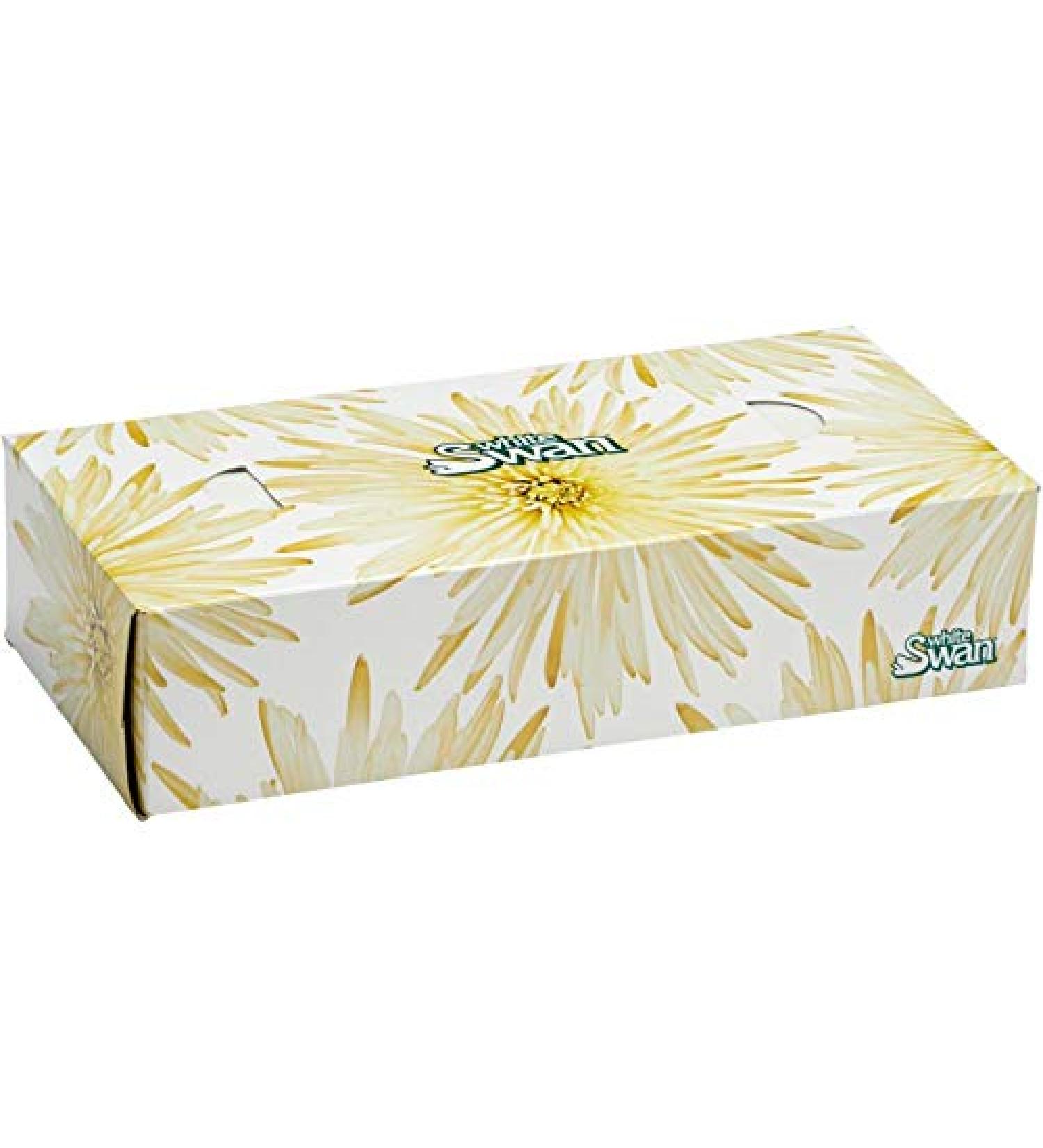 30 Boxes 100 Sheet 2 Ply White Facial Tissues