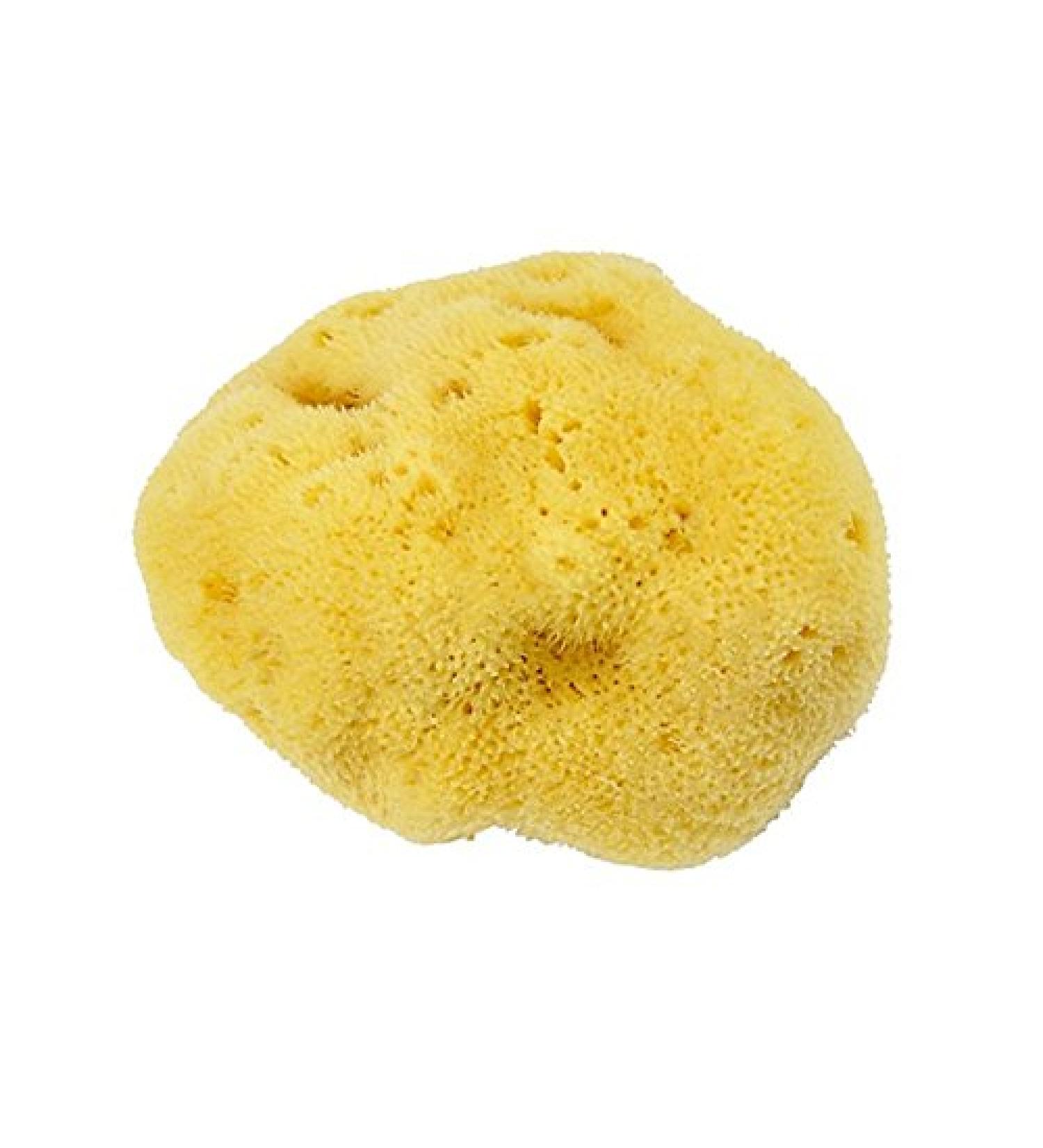 Fine-Pored Soft Silk Natural Bath Sponge | Kosmetex Hygiene & Watercolor Sponge 10 cm - International Shipping Available - Buy Online on GoSupps.com