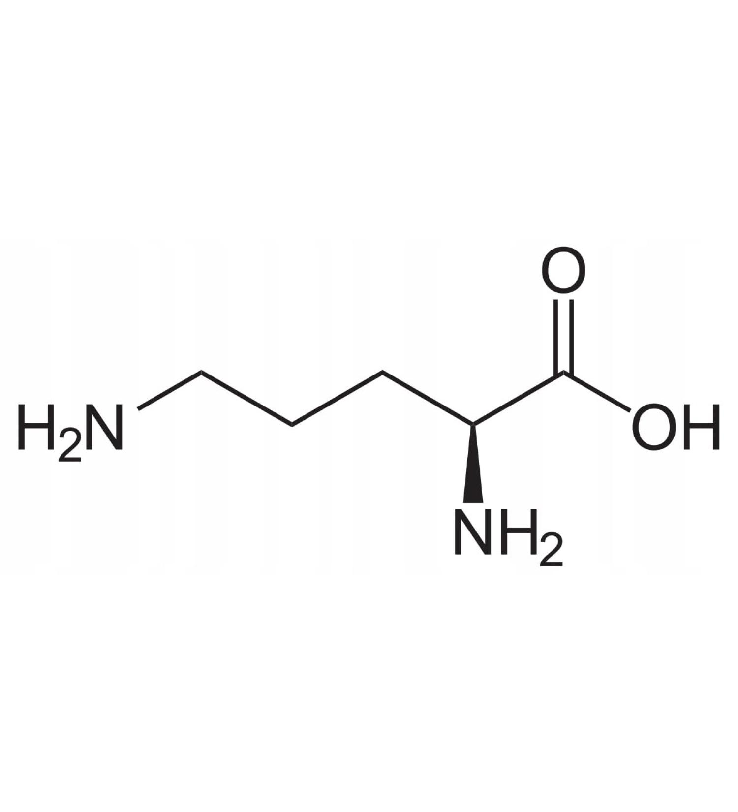 Amino Acid Ornithine (Ornithine Aminoacid) 100g