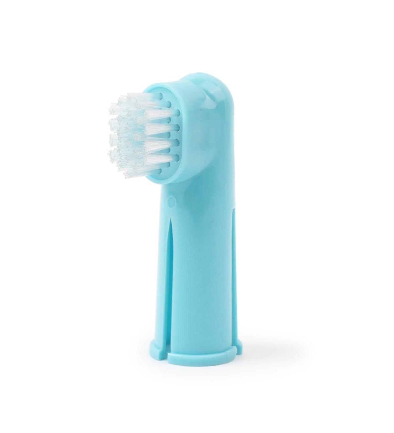 GANAZONO 2 Set 3pcs Toothbrush for Dog Toothpaste Toothbrush Pet Small Dog Toothbrush Pet Grooming - Buy Online on GoSupps.com