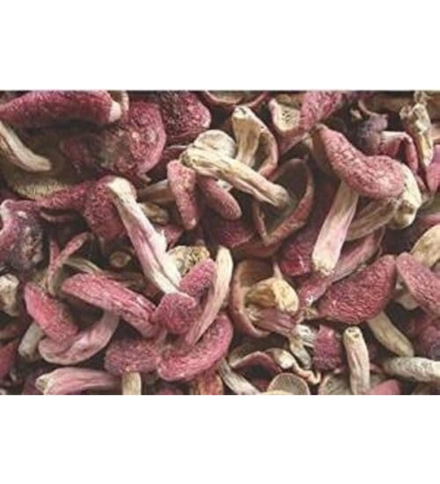 WENXUANSU:2 Pound (908 grams) Red Mushroom Dried Russula from Yunnan China - Buy Online on GoSupps.com