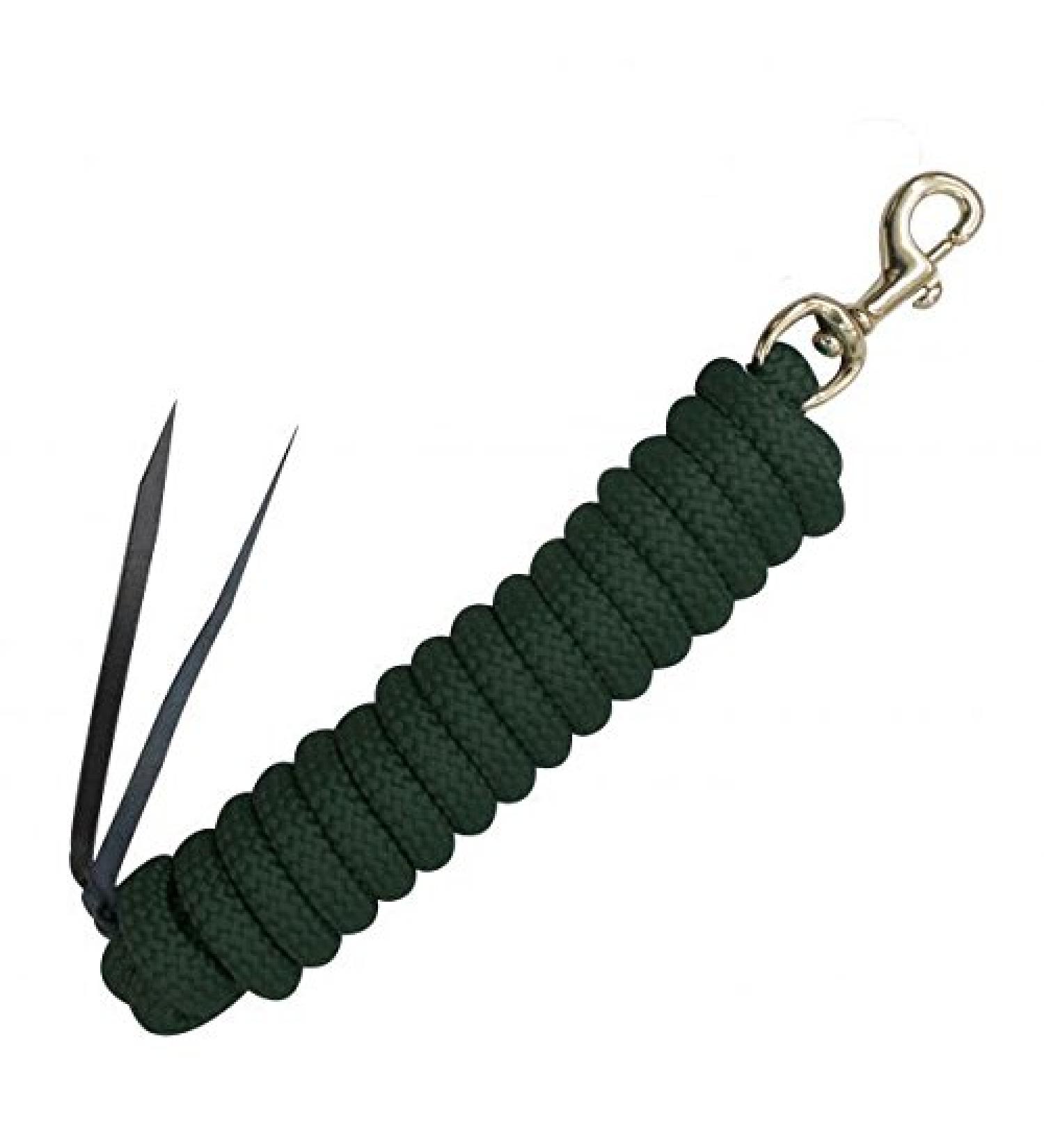 Showman Hunter Green Nylon Training Lead Rope Leather Ends 14' w/Brass Snap