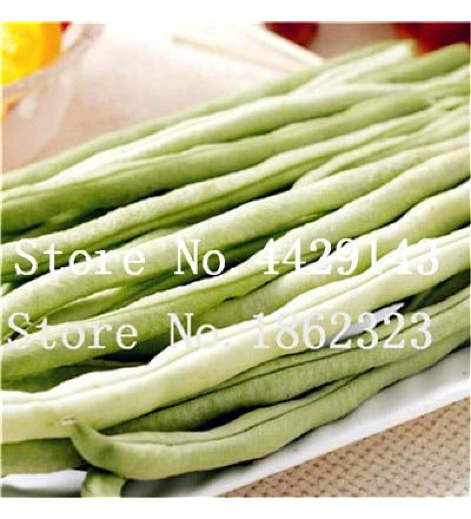 Fresco dei 50 pc Bean semi di Verdure per piantare grren leggeri - Buy Online on GoSupps.com