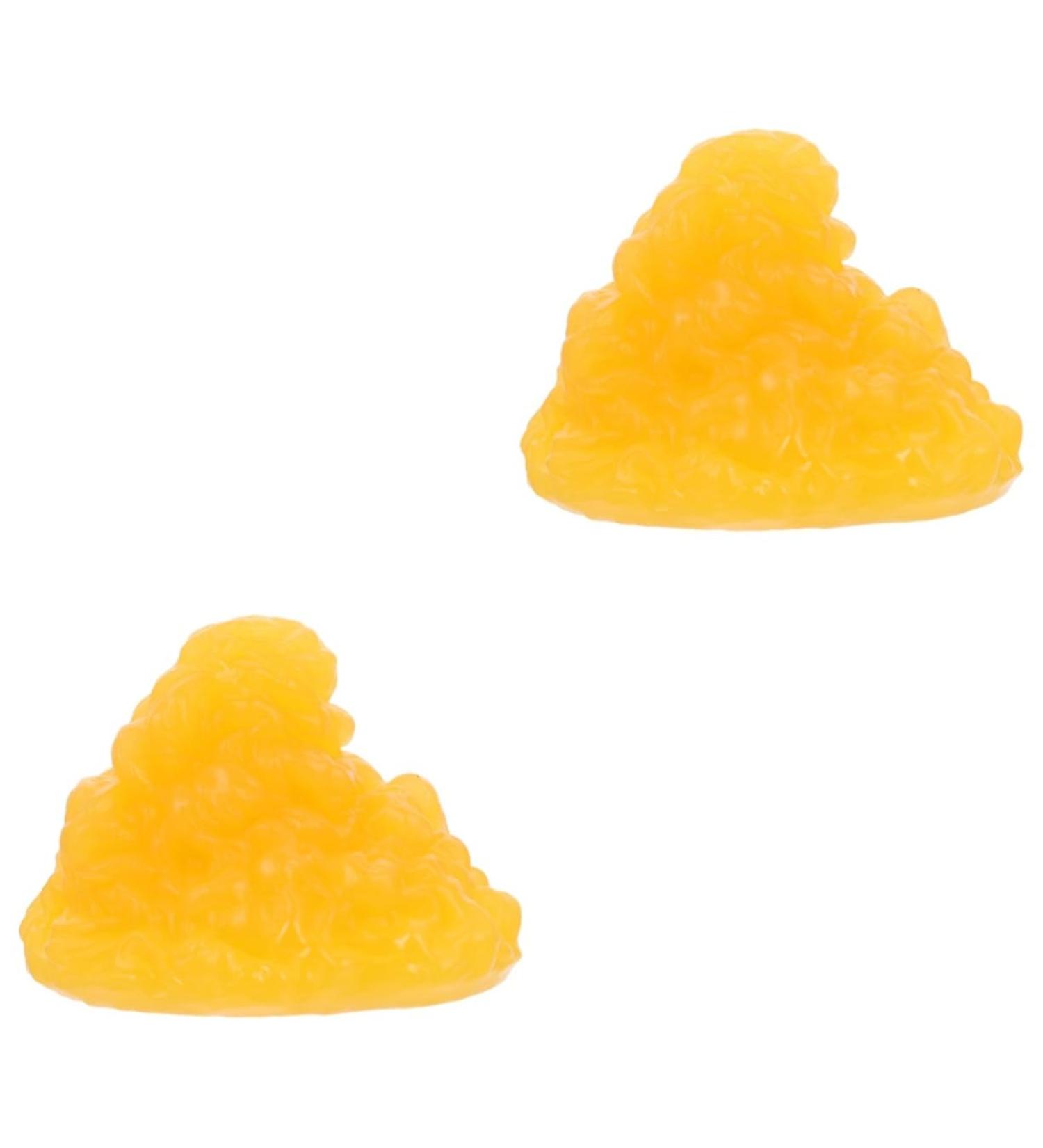 Gatuida Nutritionist 2pcs Fat Model Models Human Body Fat Replica Human Body 1-Pound Fat Replica Base Fitness Sports Fat 1lb - Buy Online on GoSupps.com