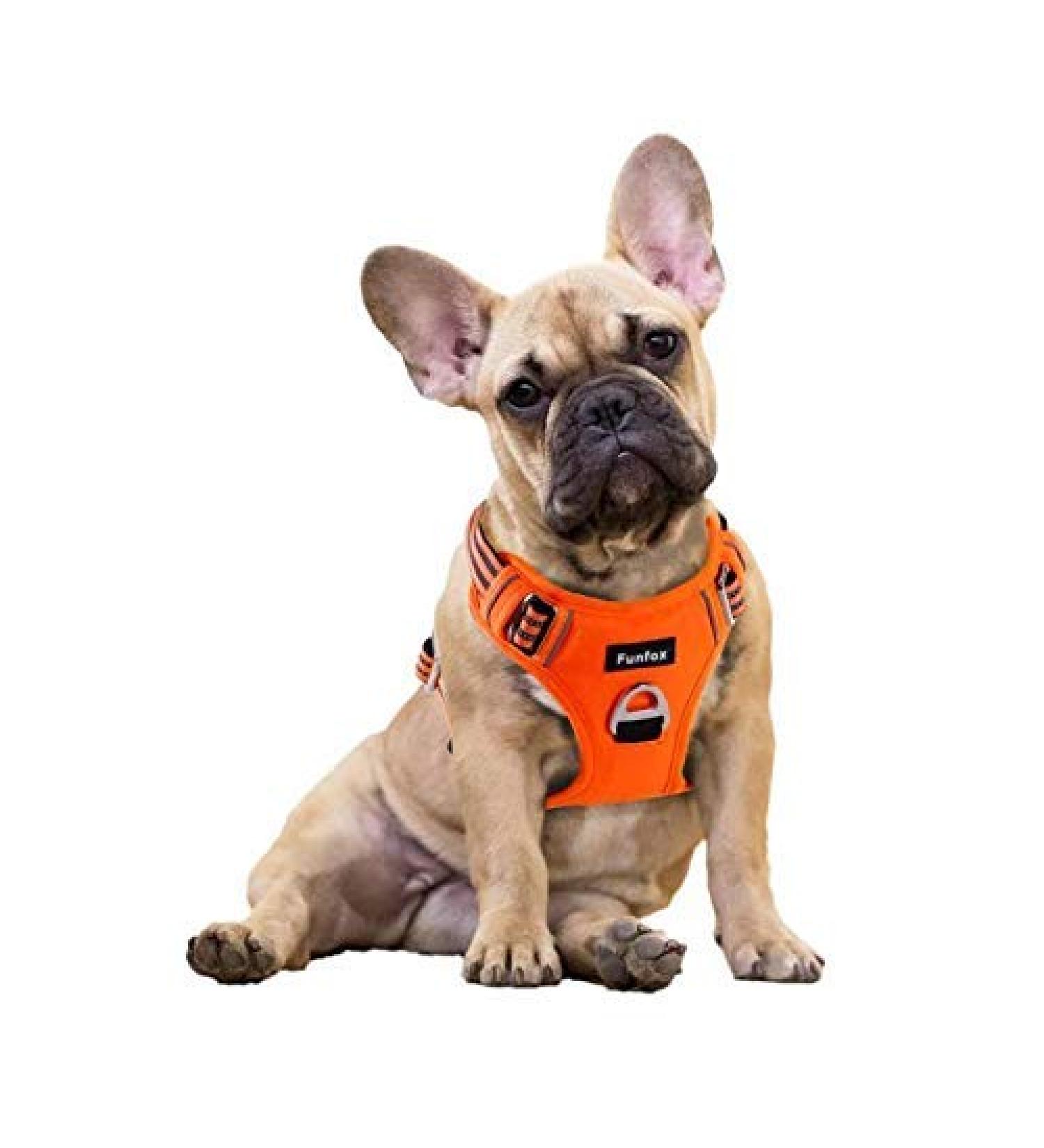 Funfox Dog Harness for Small & Medium Dogs - No Pull Adjustable Breathable Safety Harness in Orange - Buy Online on GoSupps.com