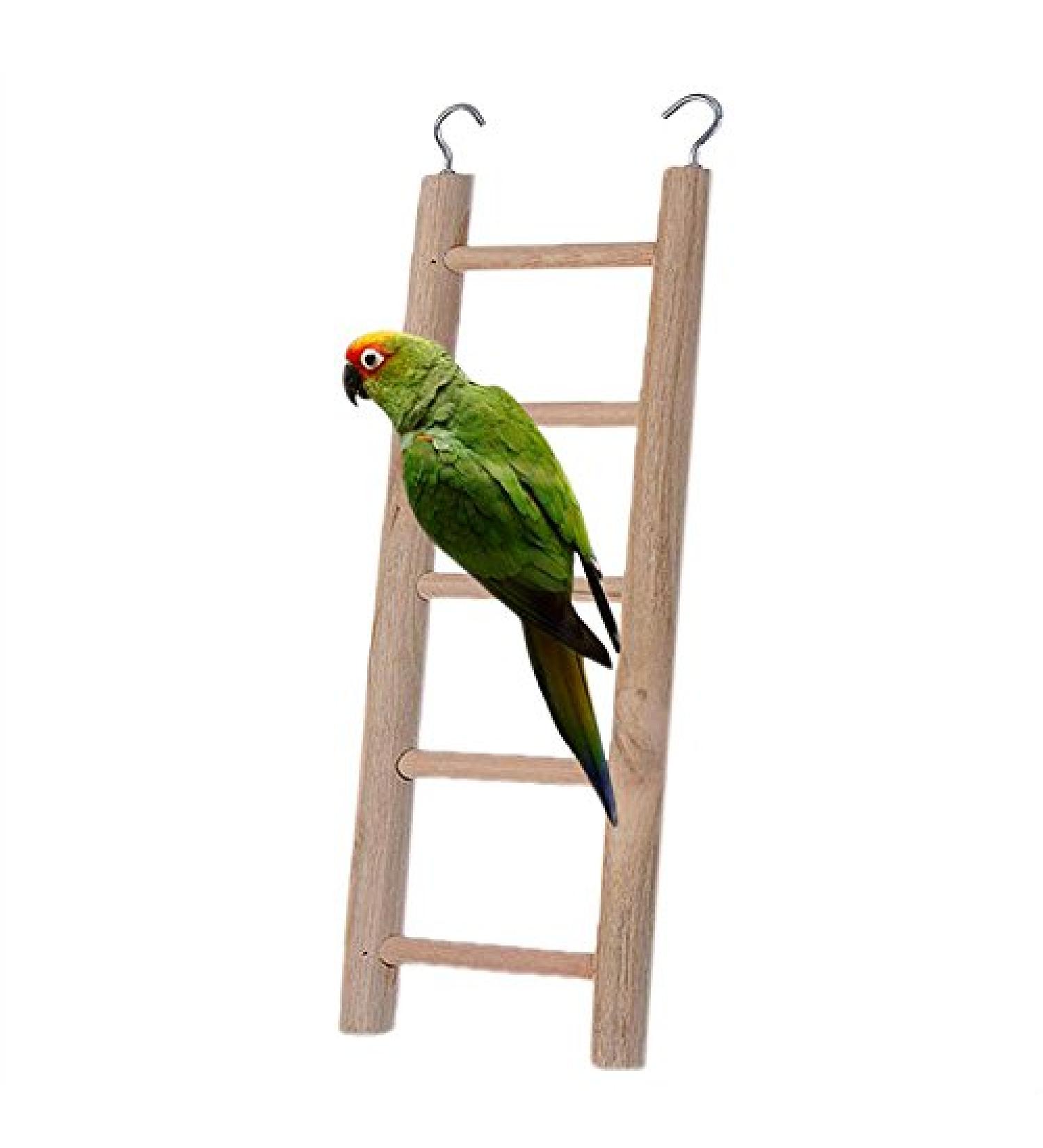 BlueMoo Wooden Pet Ladder Cage Toys for Parrot Bird Budgie Rodent Hamster Mouse Gerbil - Buy Online on GoSupps.com