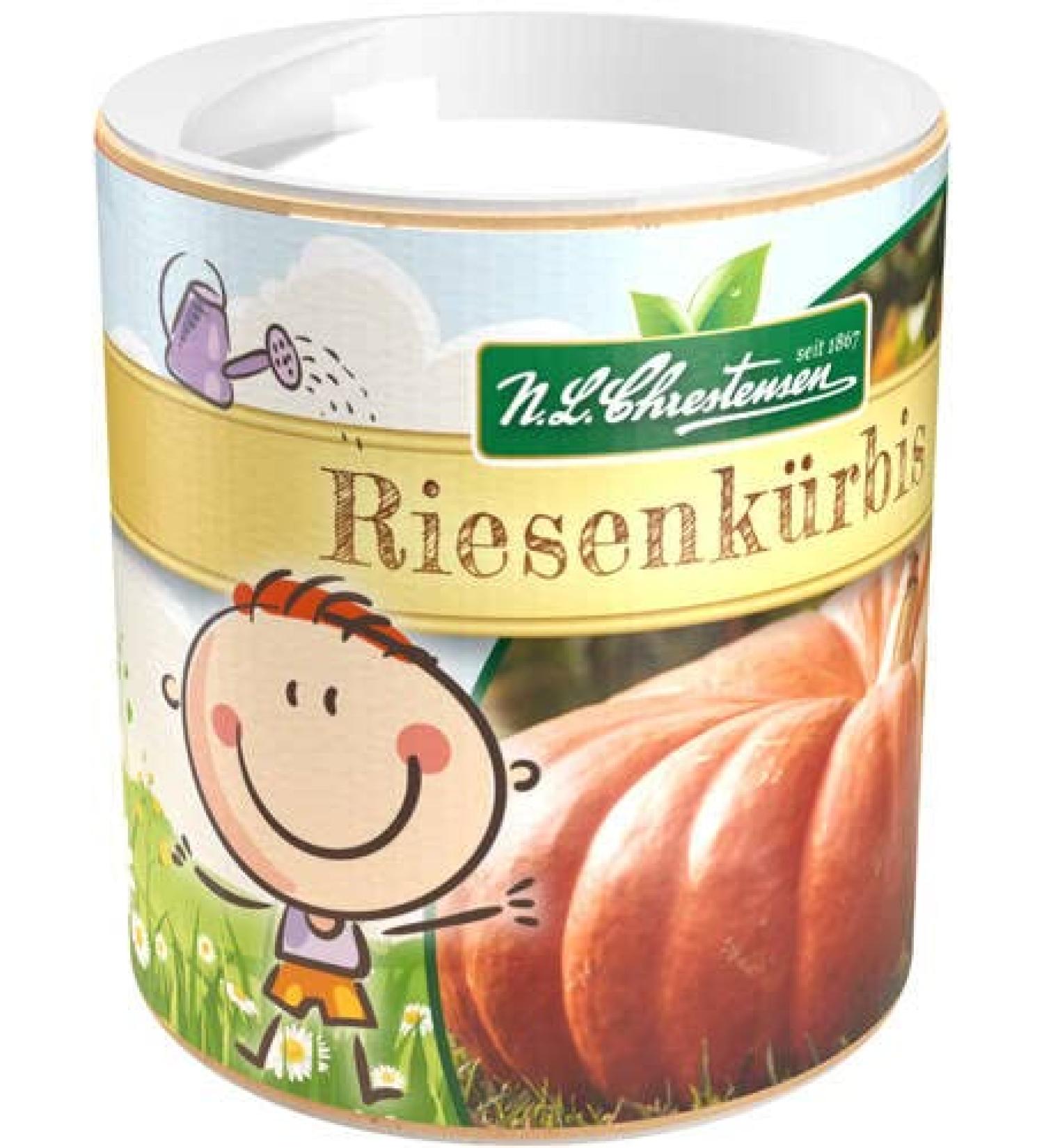 Chrestensen Garden Giant Pumpkin Seed Shaker for Kids | International Shipping Available - Buy Online on GoSupps.com
