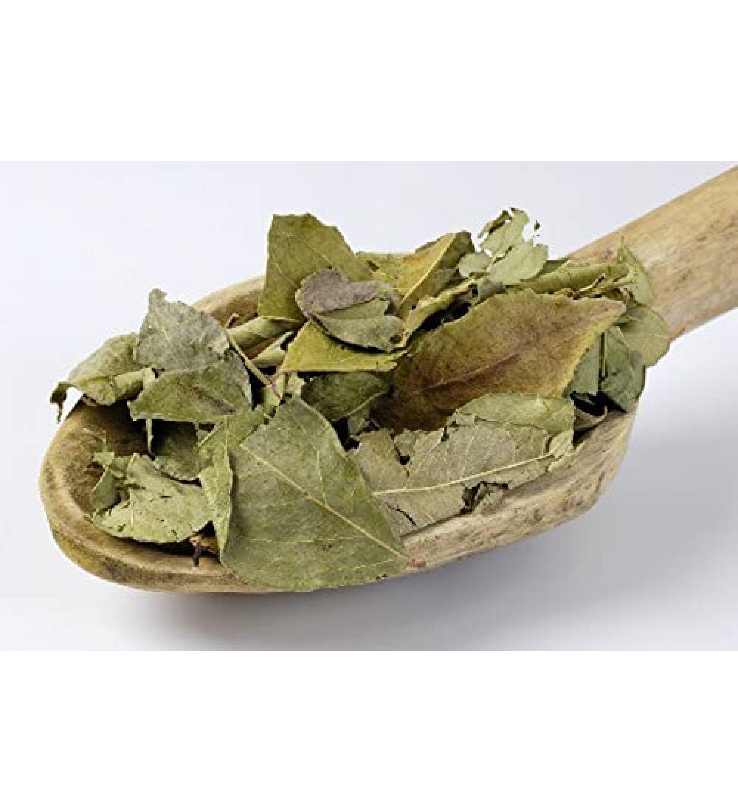 RAW HERB/JADI BOOTI KADI PATTA KARI LEAF MEETHA NEEM CURRY LEAVES (500gm) - Buy Online on GoSupps.com
