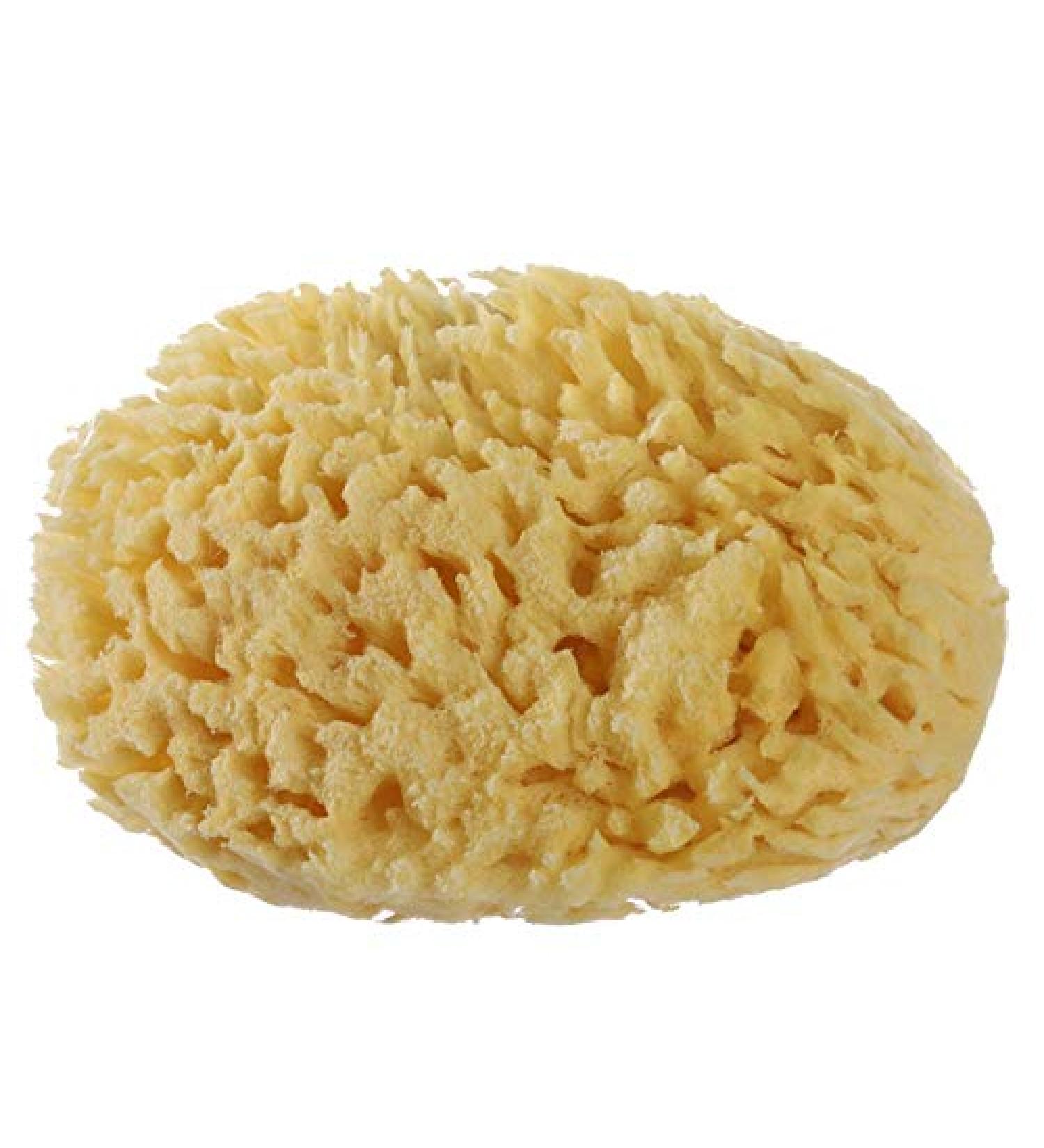 Large Greek Mediterranean Natural Sea Sponge - 5 Inches Plus | Bath Tools for Soft and Smooth Skin - Buy Online on GoSupps.com