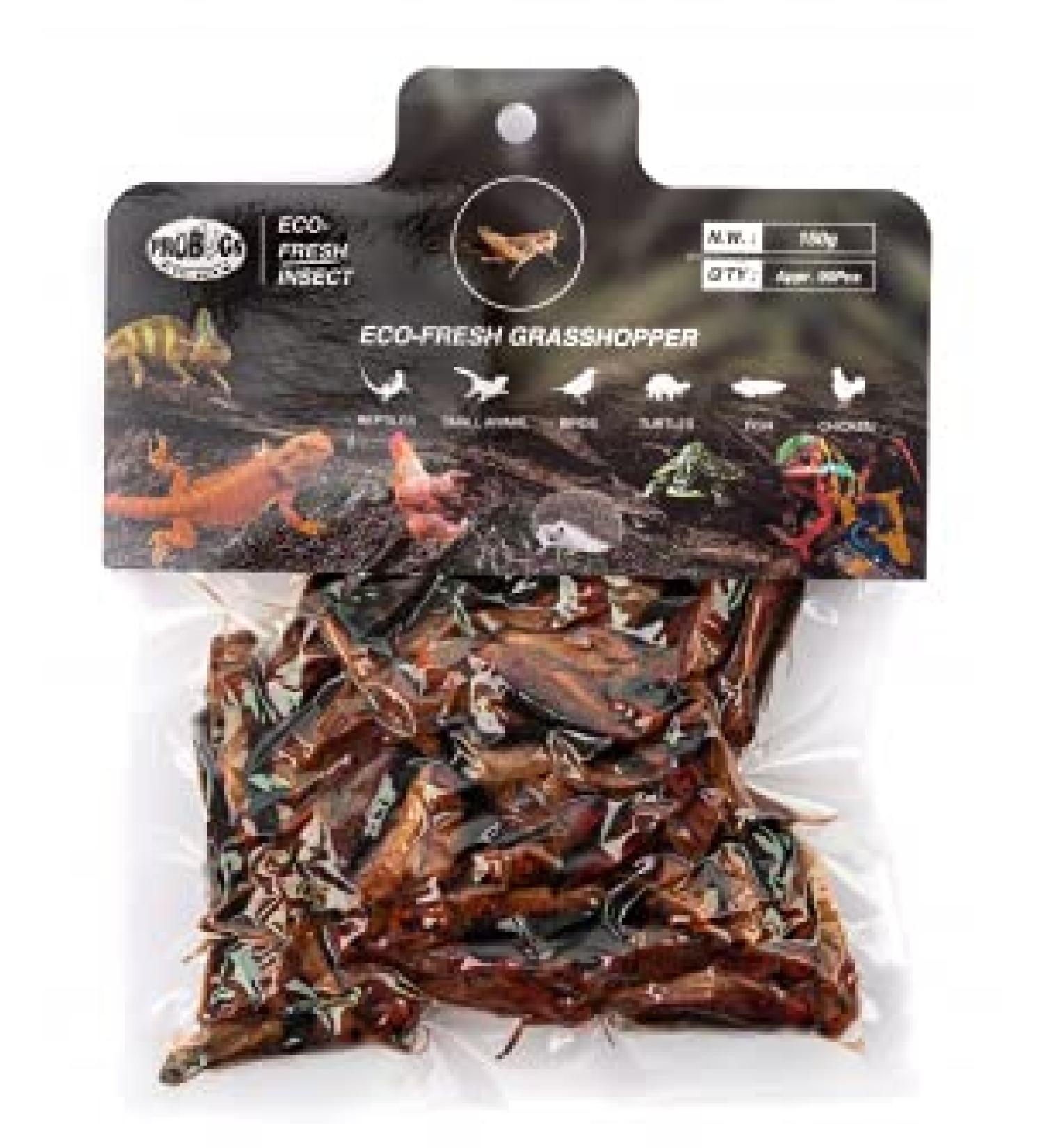 ProBugs EcoFresh Bulk Graashoppers APPR 90pcs 150g