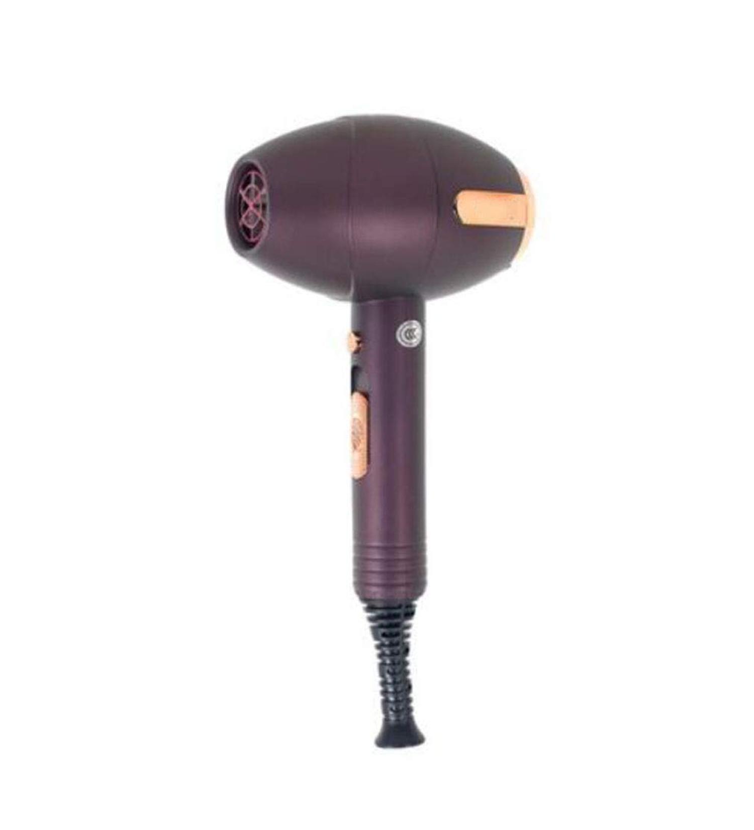Hairdryer Professional Ionic Hair Dryer 2000W Powerful AC Motor Salon Fast Blow Dryers 3 Heat 2 Speed Settings Low Noise Hair Dryer with Hair Diffusers and 2 Nozzle for Home and Salon Blue Small Gift Brown - Buy Online on GoSupps.com