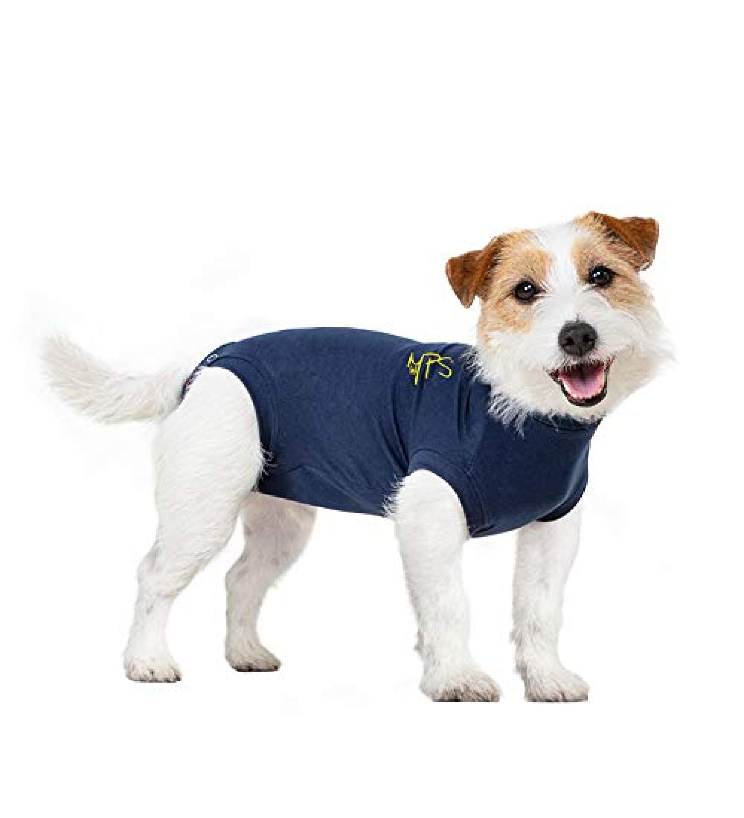 MPS Medical Pet Shirt for Small Dogs - Blue Dog Shirt for Recovery & Comfort - Buy Online on GoSupps.com