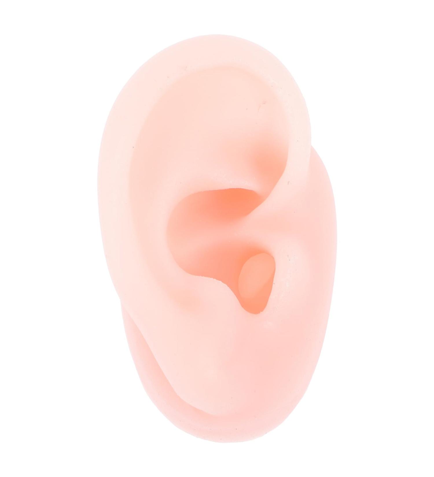 Lurrose 2pcs Silicone Ear Mold Piercing Tools - 3D Ear Jewelry Display & Practice Tool - Body Flesh Color - Anatomy Silicone Mold - Buy Online on GoSupps.com