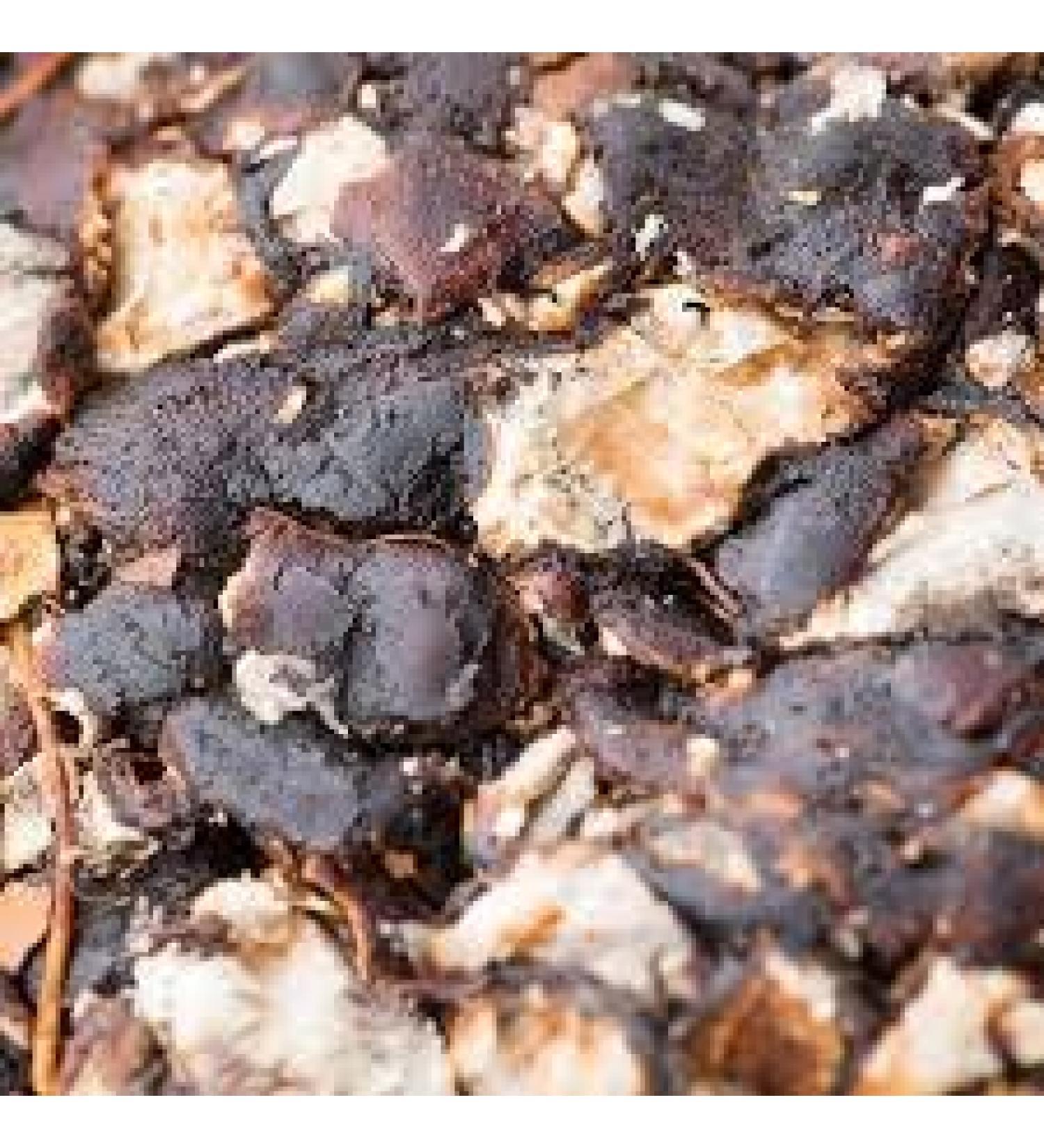 BSD Organics Spicy Seedless Tamarind/Imalee/Puli/Sintha Pandu- 200g