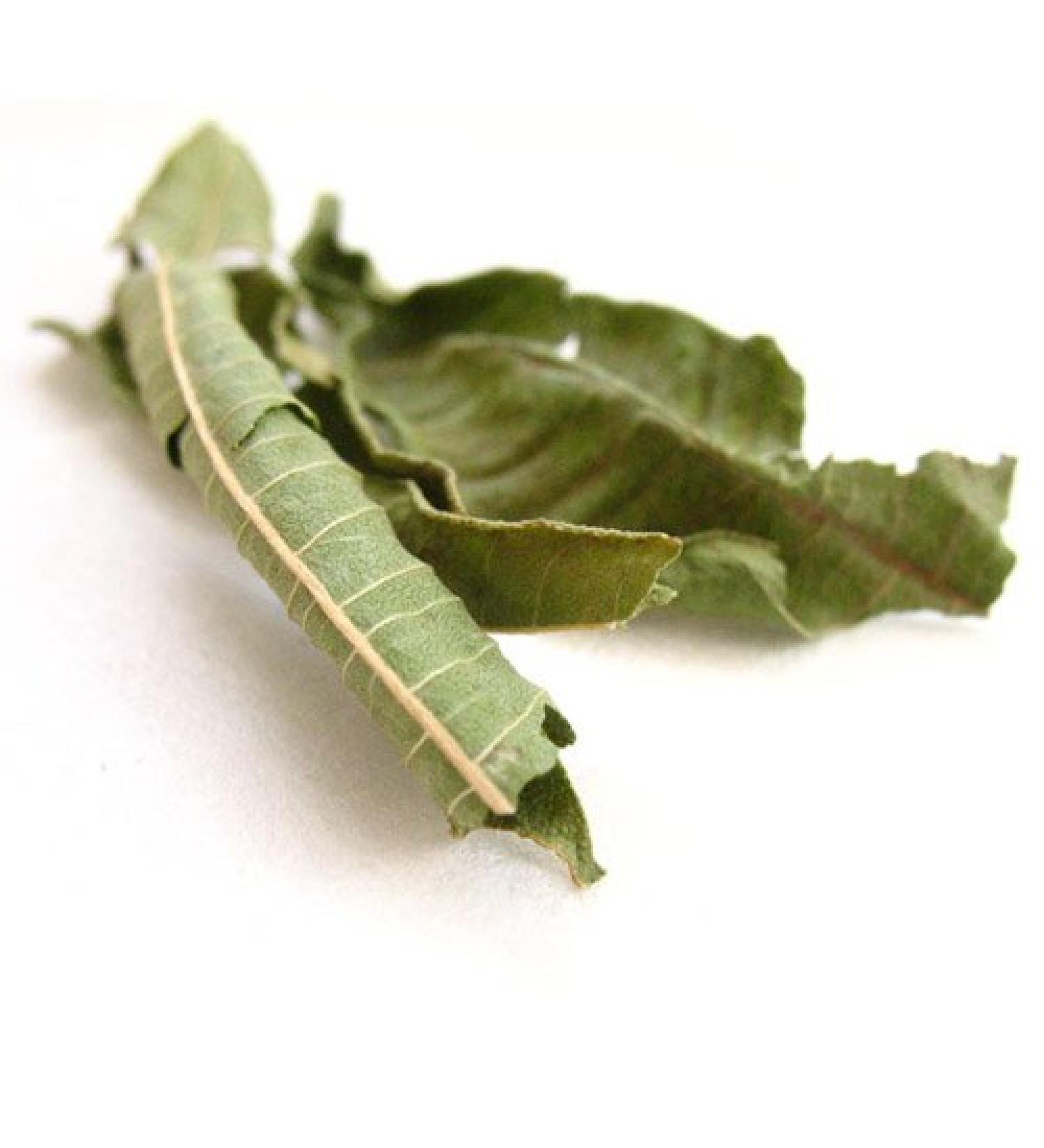 Loose Leaf Verbena Infusion /Herbal Tea- 20g