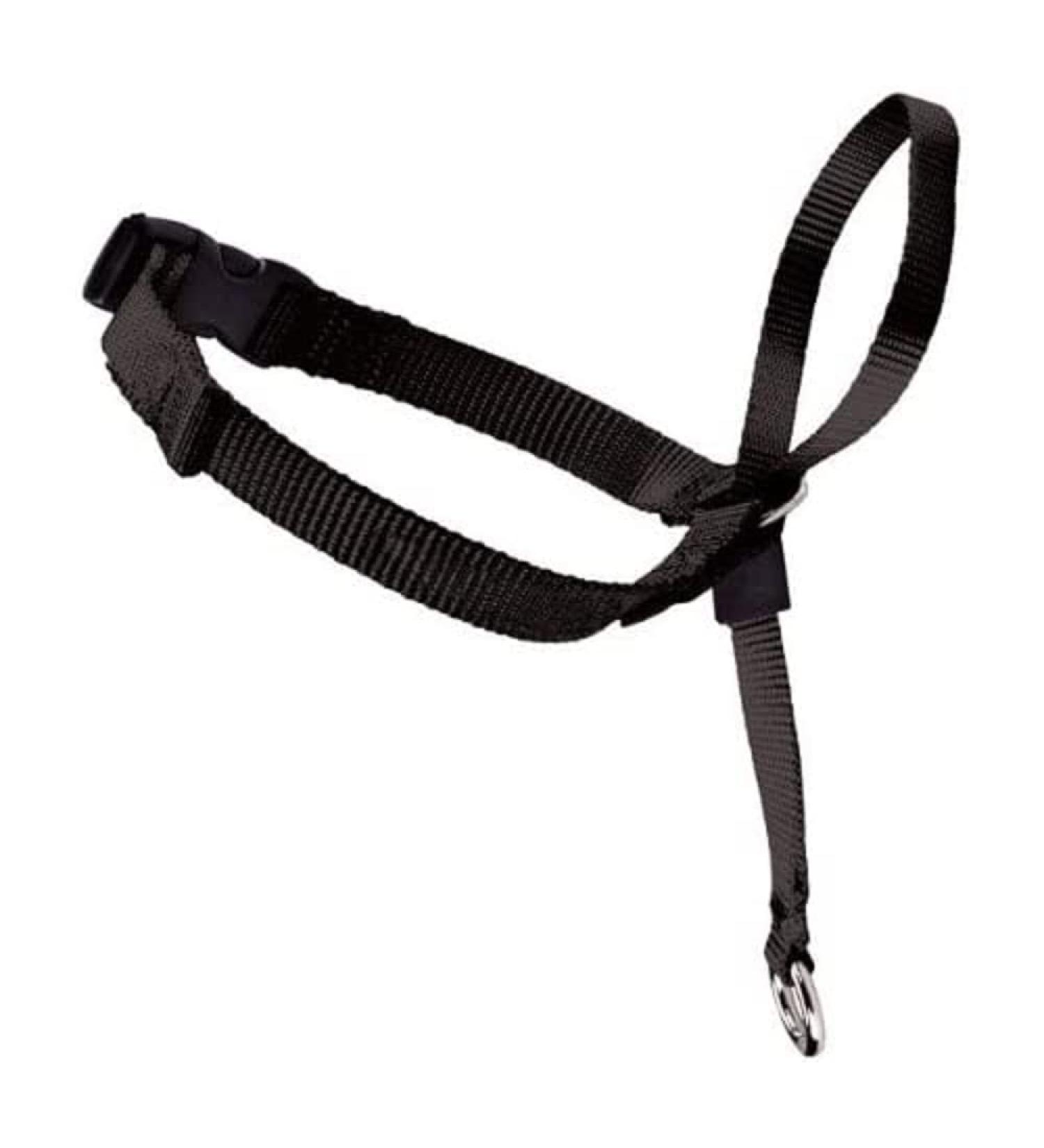 PetSafe Easy Walk Head Collar - Gentle and Effective Control for Dogs - Buy Online on GoSupps.com