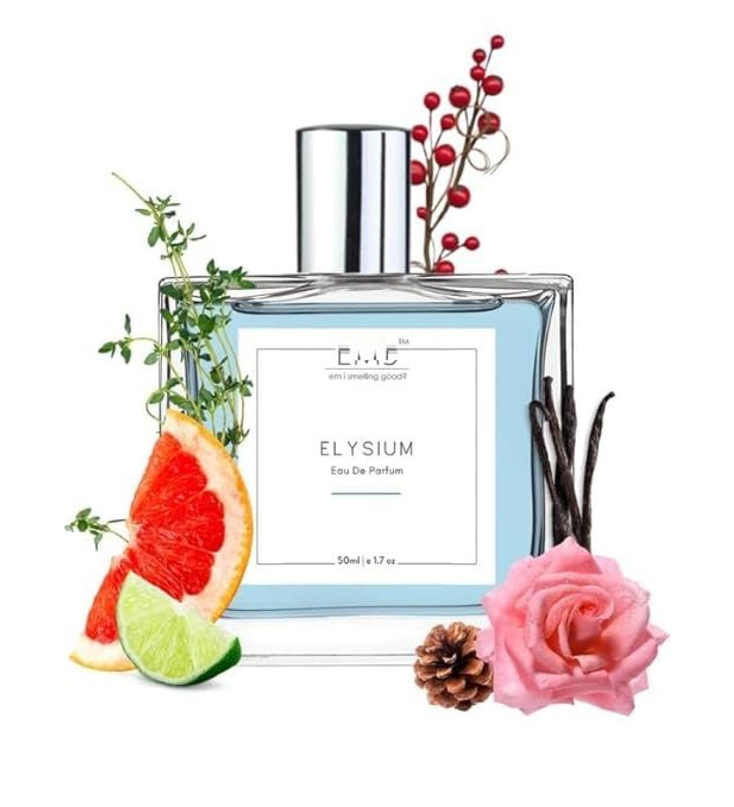 EMS Elyysium Perfume for Men | Aromatic Citrus Amber Fresh Spicy Fragrance | Eau de Parfum Spray | Luxury Gift for Him | (50ml / 1.7 Fl Oz) - Buy Online on GoSupps.com