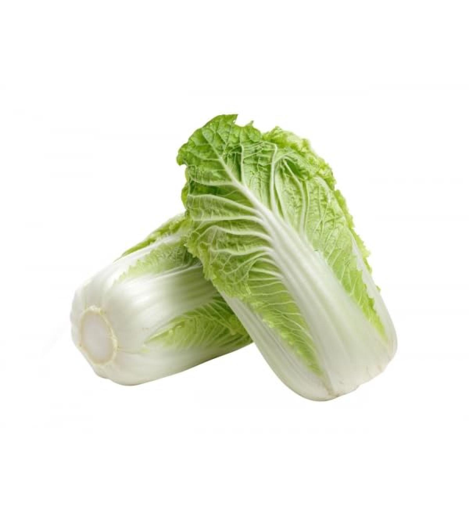 Veenas Fresh Chinese Cabbage | 1KG | Greenish Chinese Leafy Vegetable | Nutrients and Minerals | Salad |Chinese Cuisine