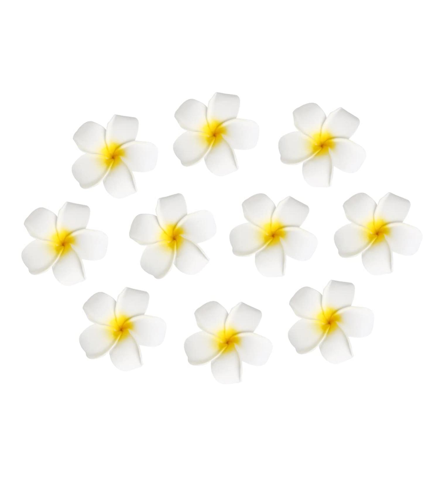 FRCOLOR Hawaiian Plumeria Flower Hair Clip Wedding Bridal Barrette - 10 Pieces - Buy Online on GoSupps.com