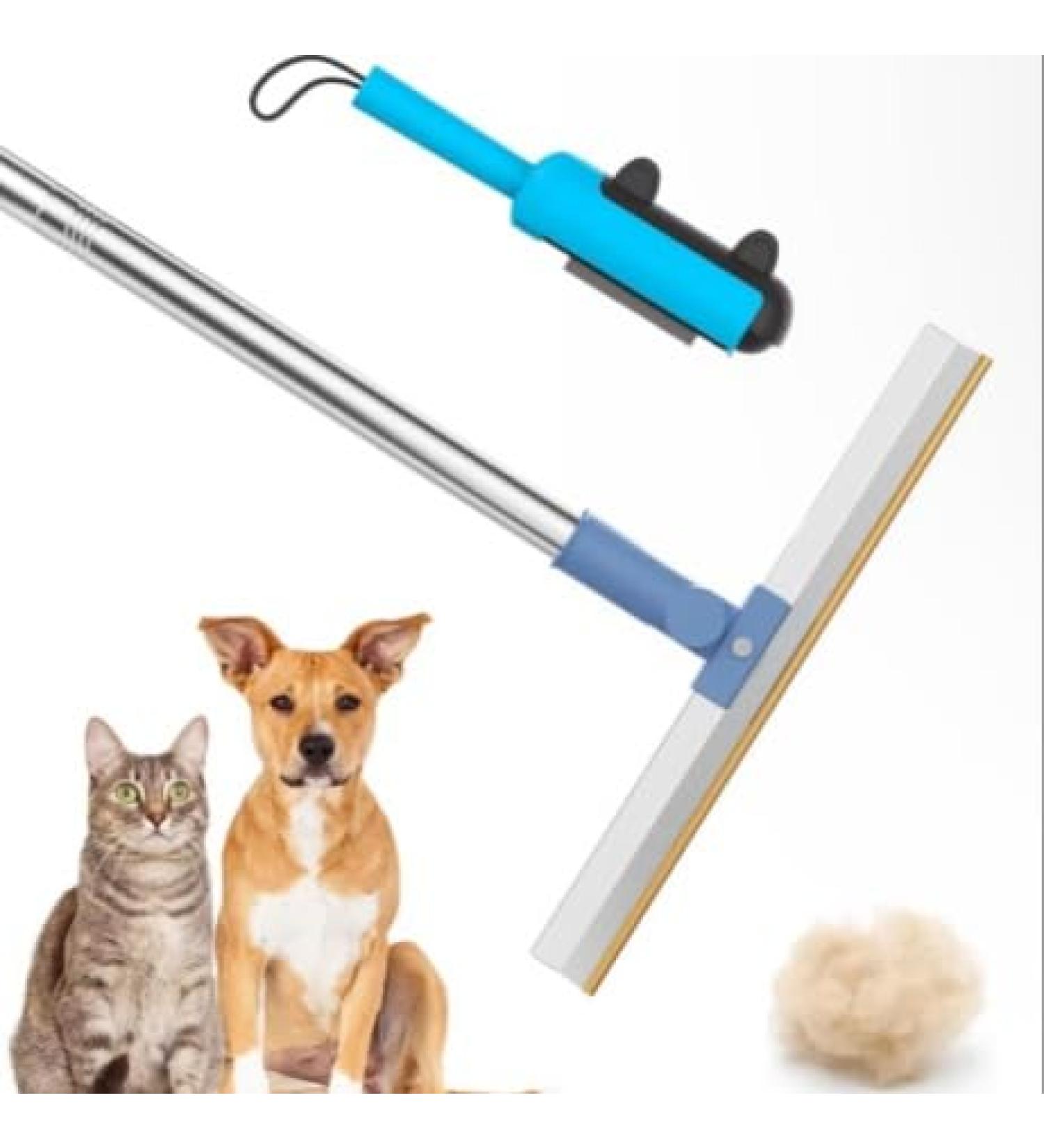 Effective Pet Hair Remover Carpet Scraper - Large Stainless Steel Brush with Non-Slip Handle - Blue - Buy Online on GoSupps.com