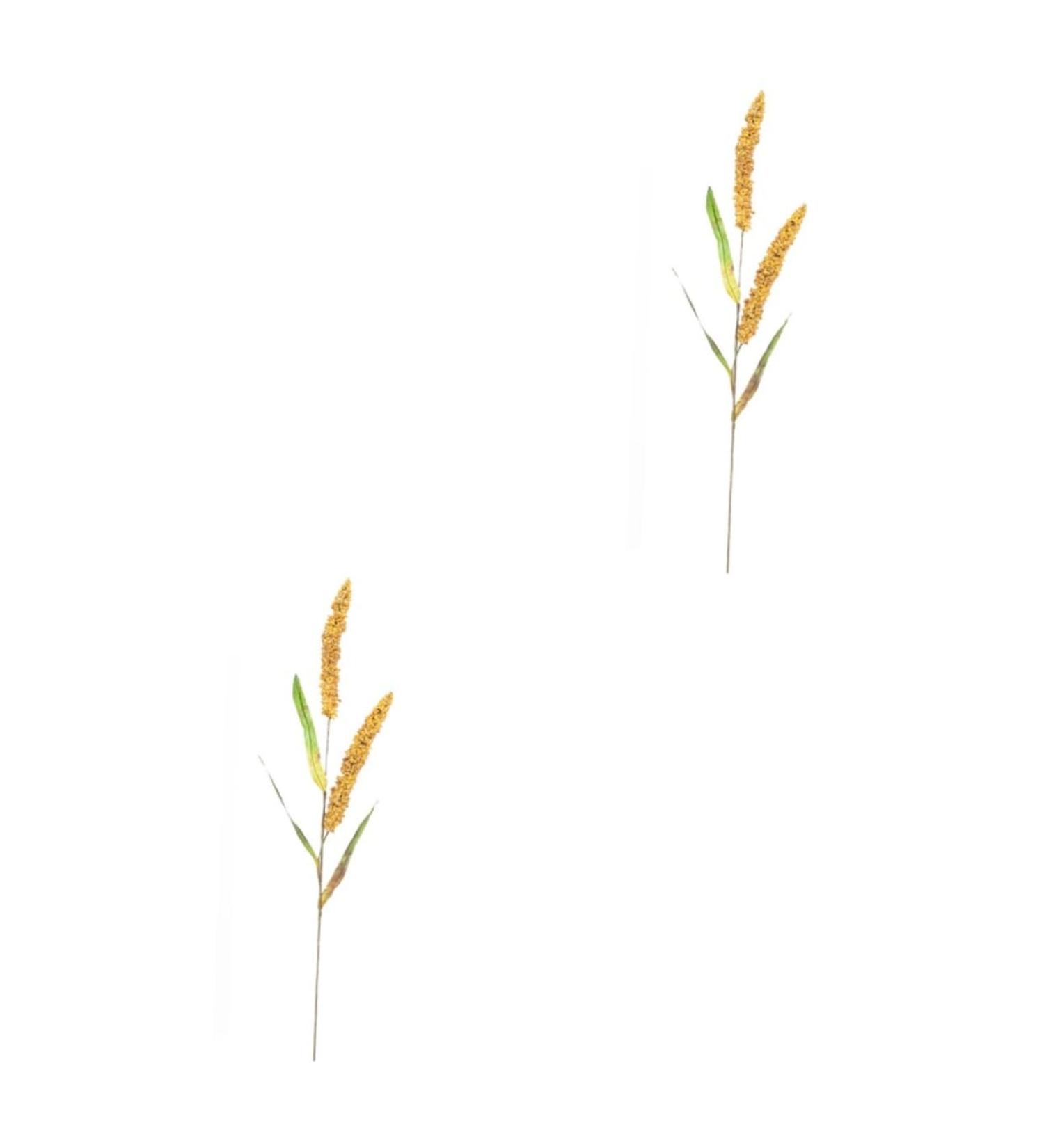LIFKOME 2pcs Simulated Ears of Corn Artificial Grasses Bundle Home D cor Artificial Millet Ears Artificial Plants Simulation Wheat Ears Home Decor Dried Millet Desktop Pvc Straw Goldenx2pcs 12X75CMx2pcs - Buy Online on GoSupps.com
