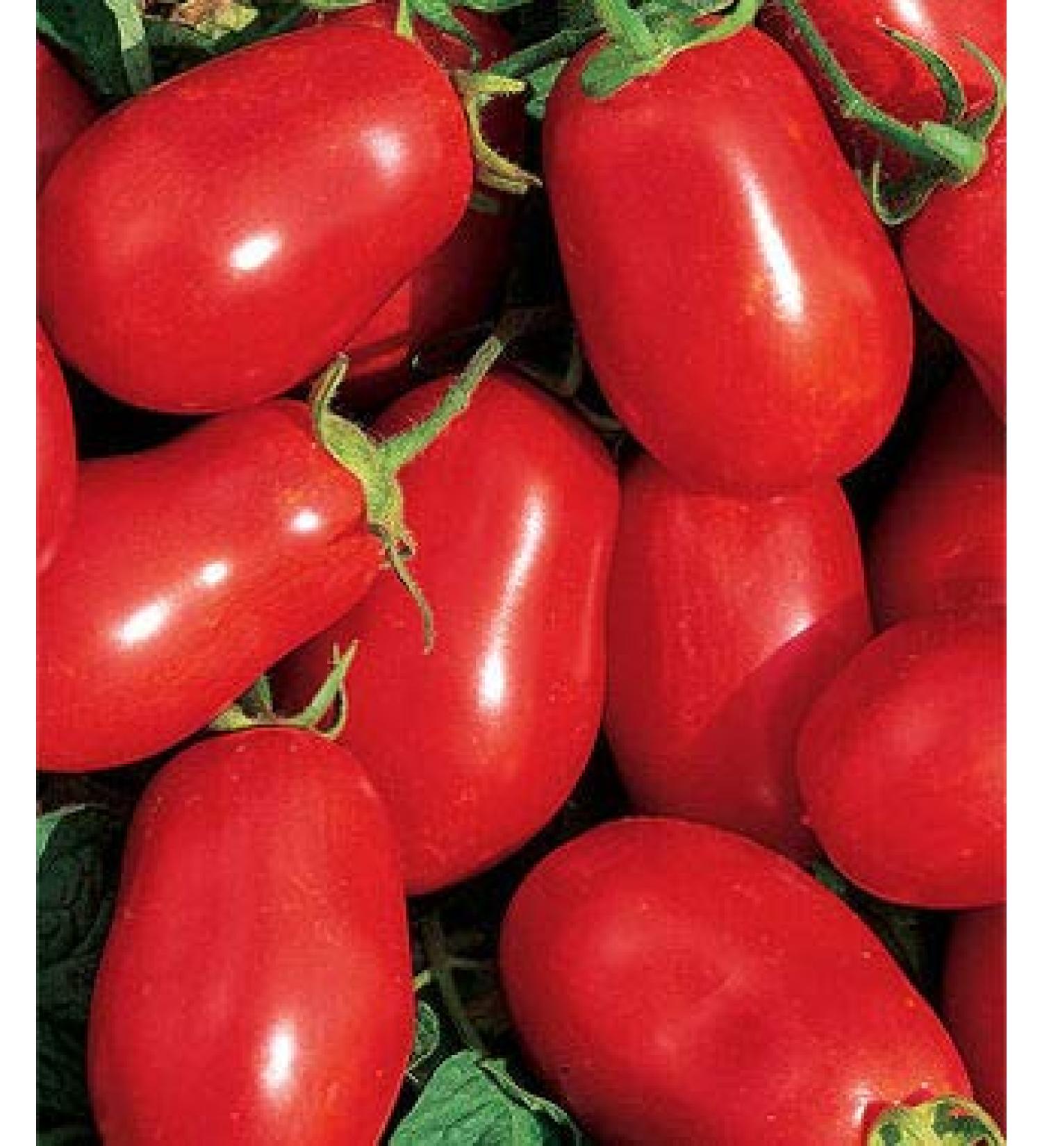 Speckled Semi Romana pomodoro Non OGM Per la Salsa e Fresco (20)