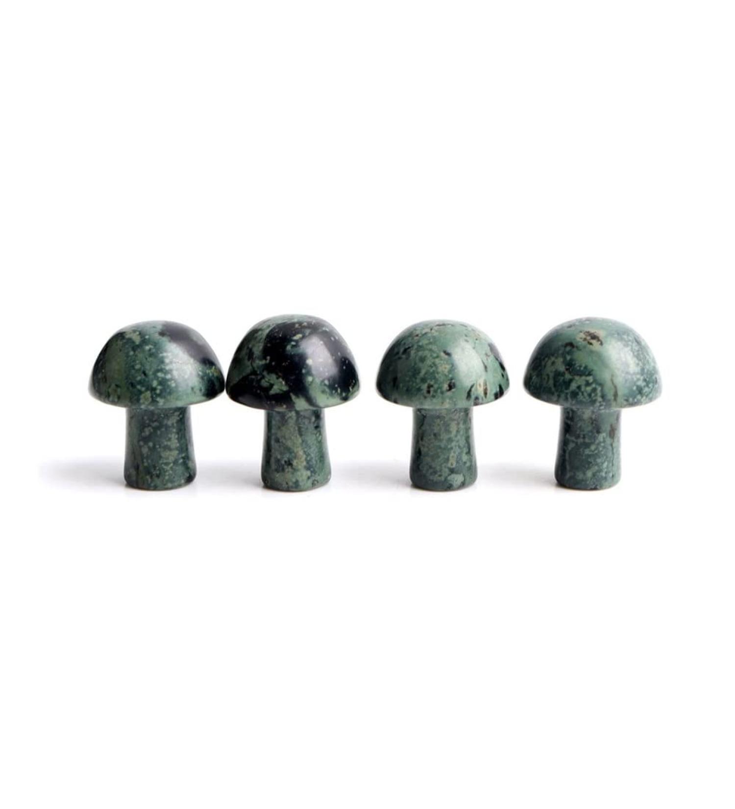 Crystal Rough Crystal Ornaments 1PC Mini Crystal Mushroom Natural Stones Carved Crafts Decoration Quartz Trinket Gift Ornament Aquarium Home Decor Gift (Color : Kambaba Jasper Size : 1pc) 1pc Kambaba Jasper - Buy Online on GoSupps.com