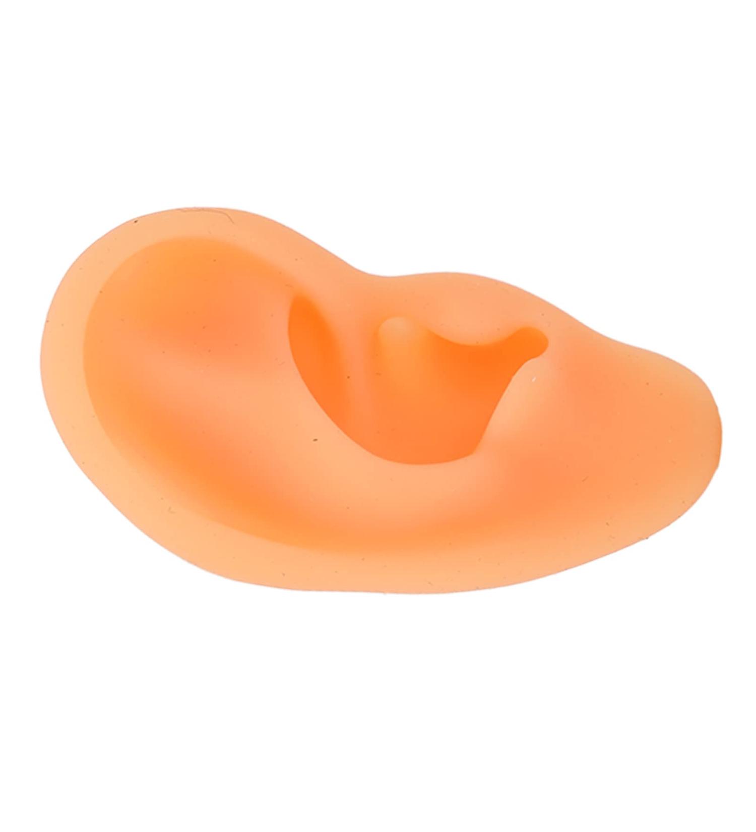 Simulated Left Ear Mould - Lifelike Fake Ear Model for Hospital Education - Buy Online on GoSupps.com