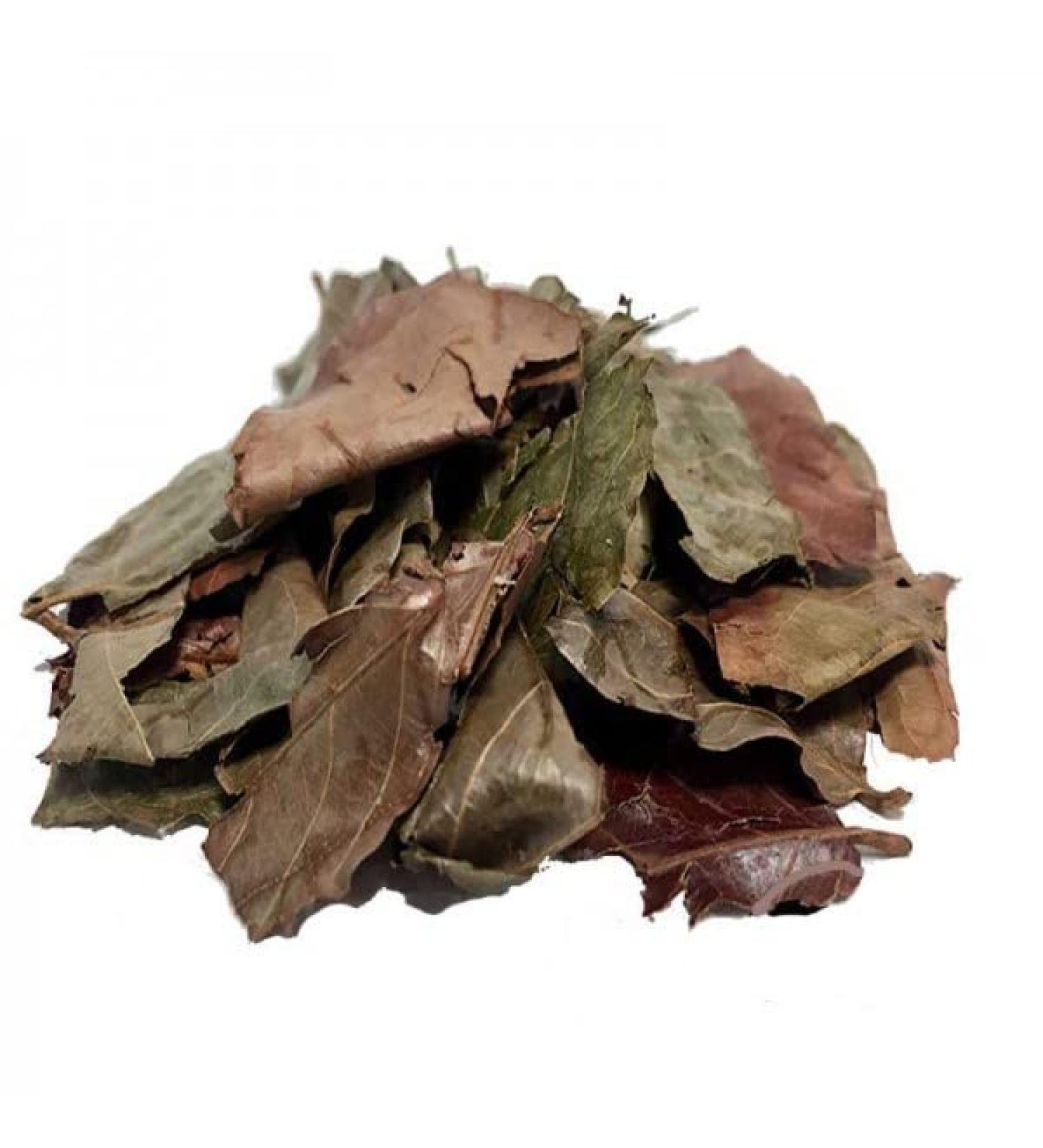 Generic Premium Kinkeliba Leaves 100% Sun Dried Organic Combretum Micranthum 60g - Buy Online on GoSupps.com