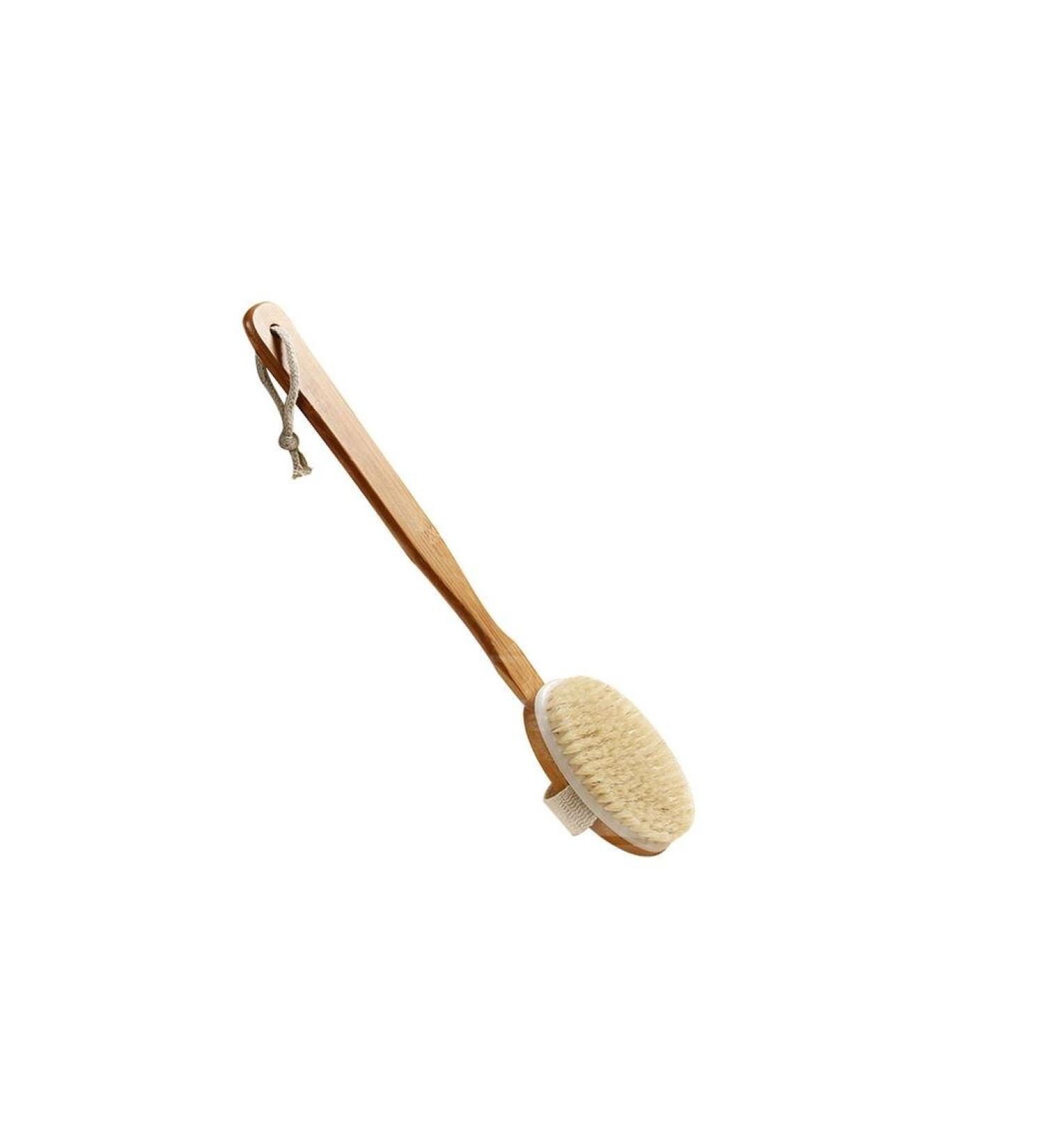 Erioctry Long Handle Bath Body Brush - Detachable Bristles for Spa Shower Massage - Buy Online on GoSupps.com