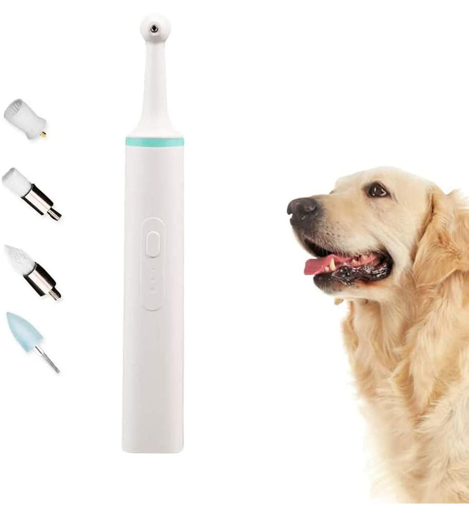 Dog Electric Tooth Polisher Pet Dental Calculus Plaque Remover Tool Electric Kit 3 Working Modes High Frequency Cleaning Teeth Stain Tartar Removal Cleaning Puppy Tooth(Color:Green) - Buy Online on GoSupps.com