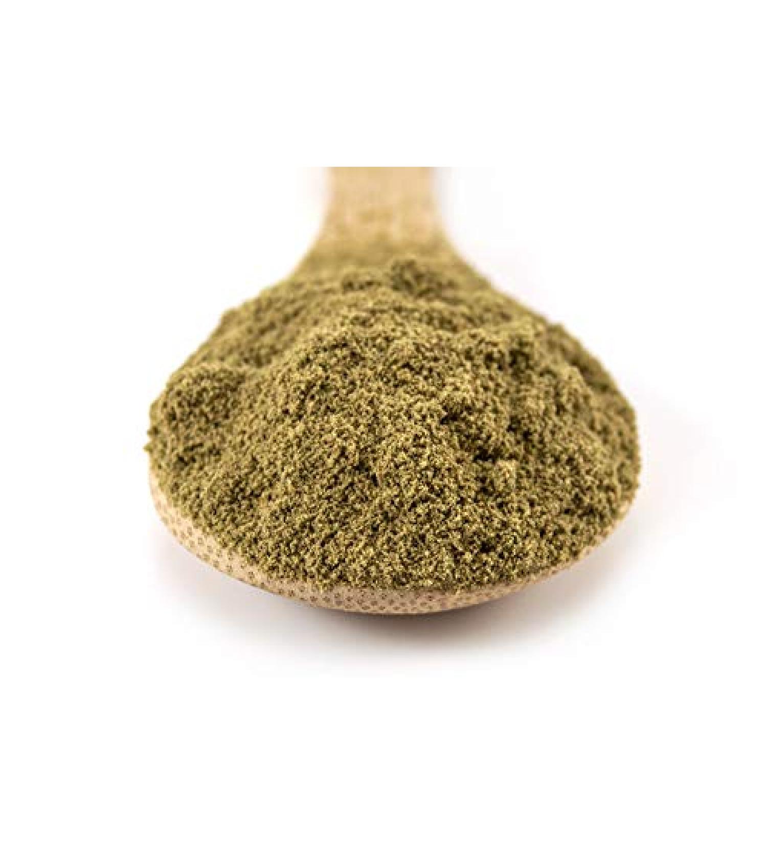 Sussex Wholefoods Organic Hemp Protein Powder 500g - Buy Online on GoSupps.com