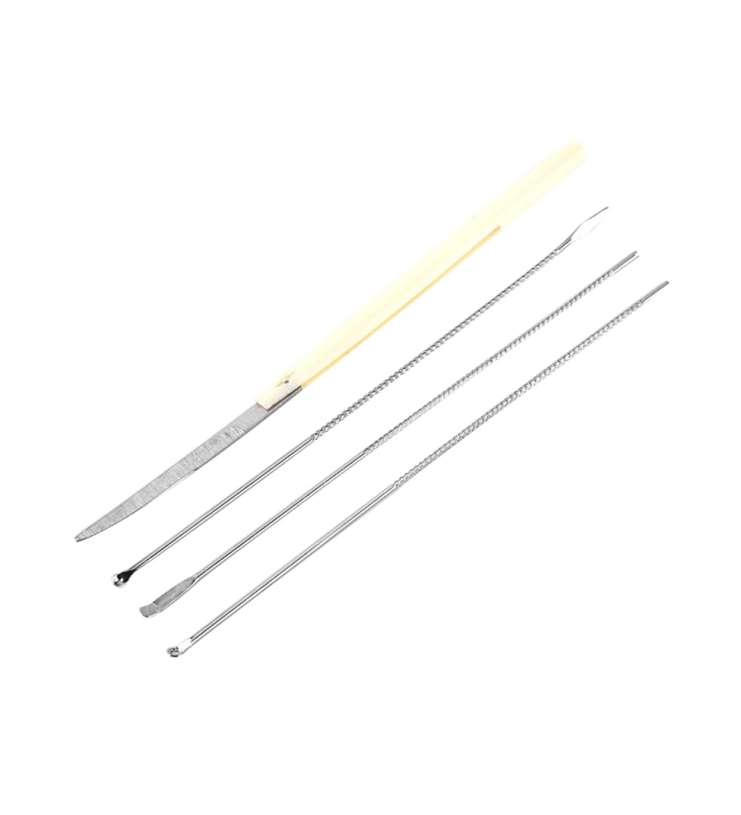 Hemoton Stainless Steel Ear Spoon Set - Simple and Elegant Ear Pick Tool Kit - Buy Online on GoSupps.com