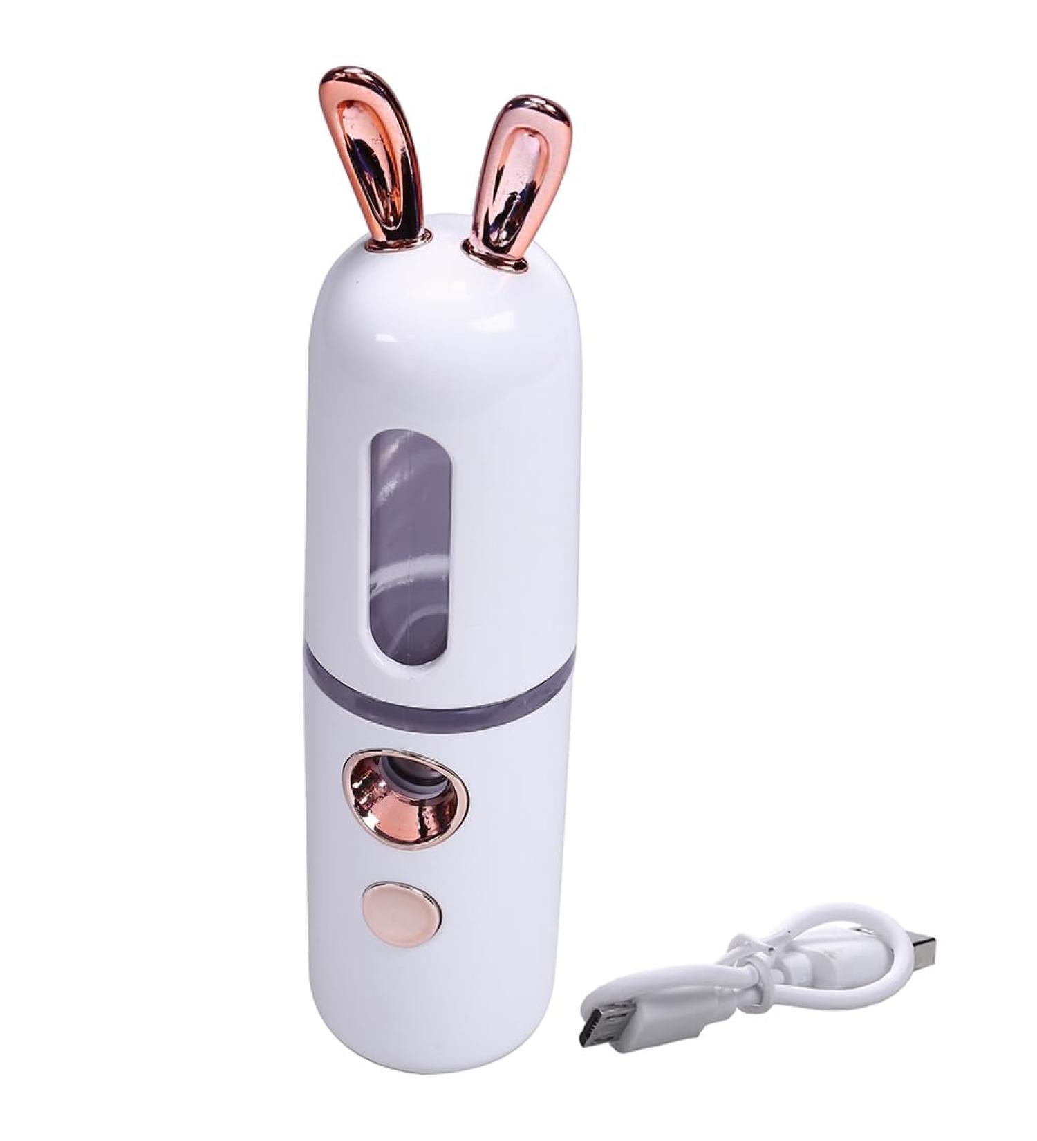 Dewedrt New Mini USB Rechargeable Nano Hydrator Sprayer Women Beauty Instruments Home Use Humidifier Face Steamer White - Buy Online on GoSupps.com