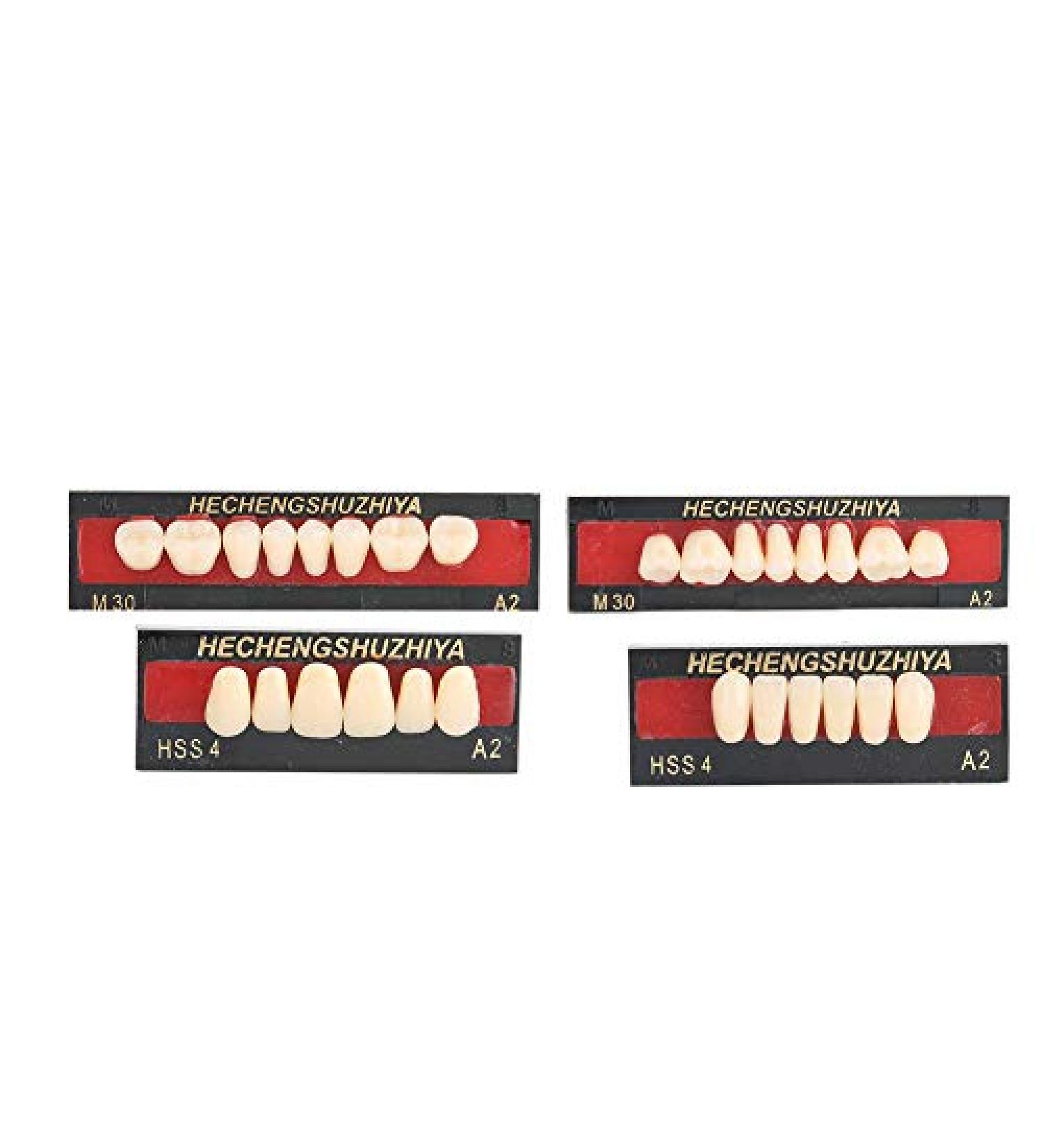High-Quality Synthetic Resin False Teeth | Dental Prosthesis for Oral Care | Upper & Lower Dental Material - Buy Online on GoSupps.com