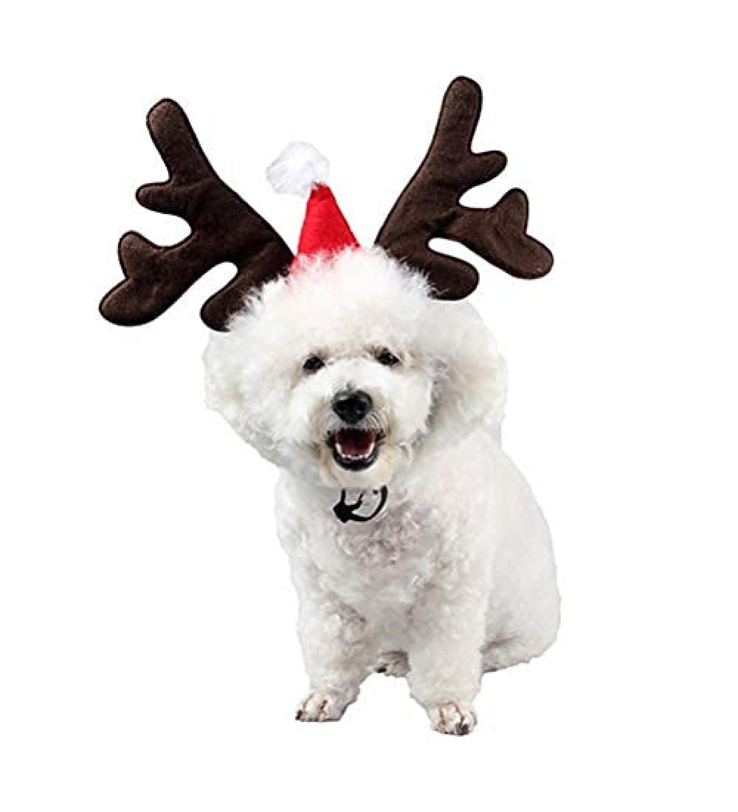 Buy BESTOYARD Pet Headband - Christmas Reindeer Antler with Santa Hat Costume for Dogs & Cats | Festive Holiday Accessories - Buy Online on GoSupps.com