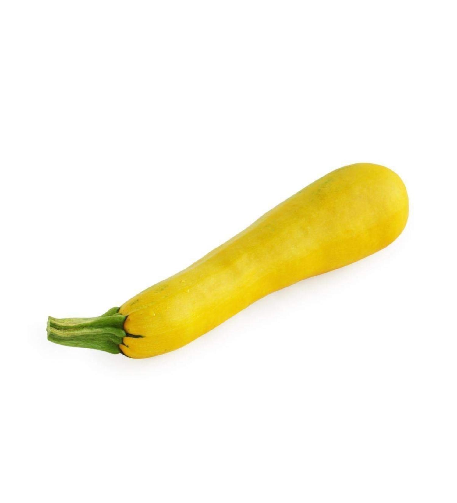 5.6g Organic Golden Zucchini Seeds ~ 40ct ~ Yellow Bush ~ Summer Squash