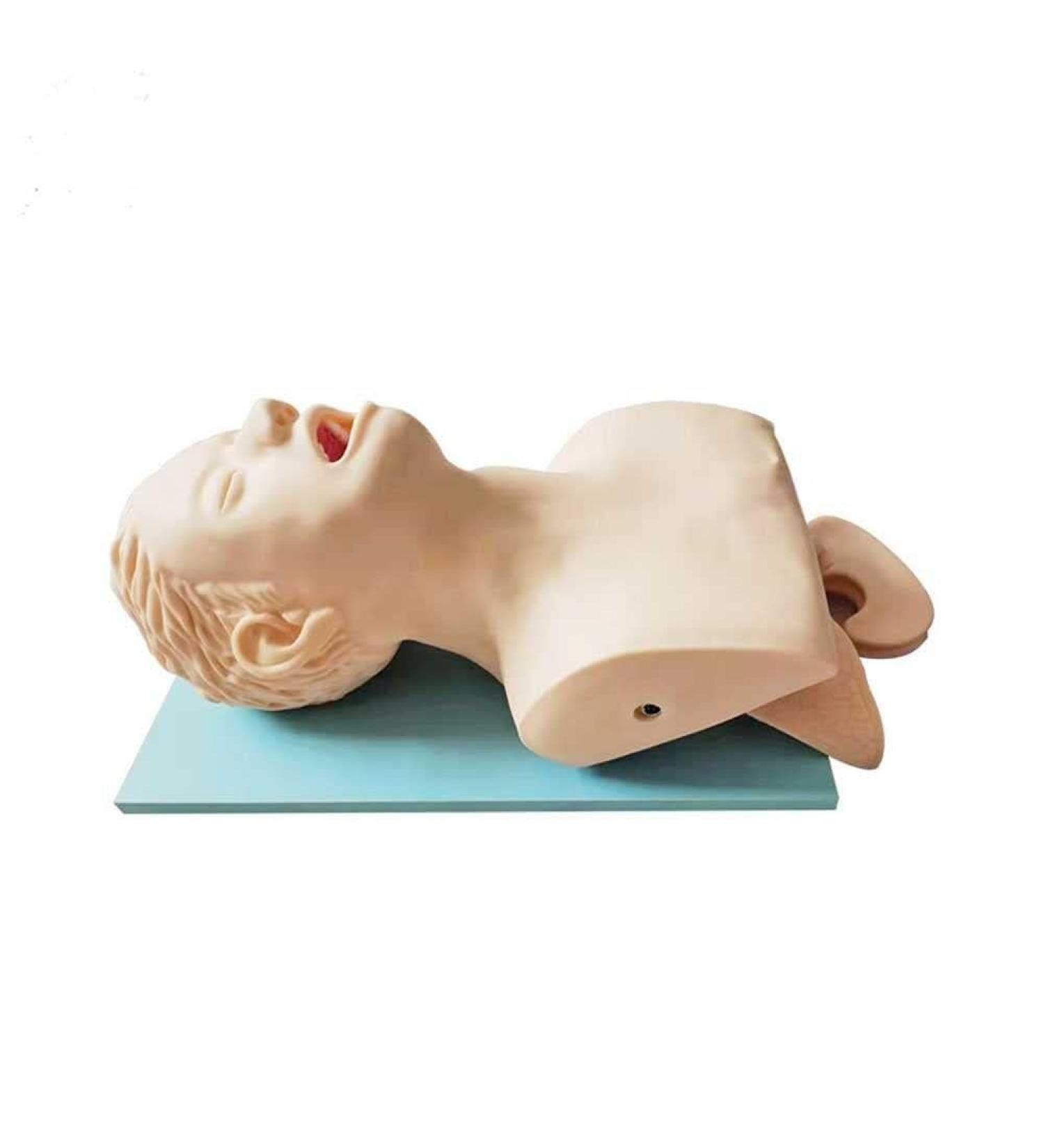 Manikin Teaching Model for Airway Management | Electronic Intubation Trainer | Ideal for Science Lab Education - Buy Online on GoSupps.com