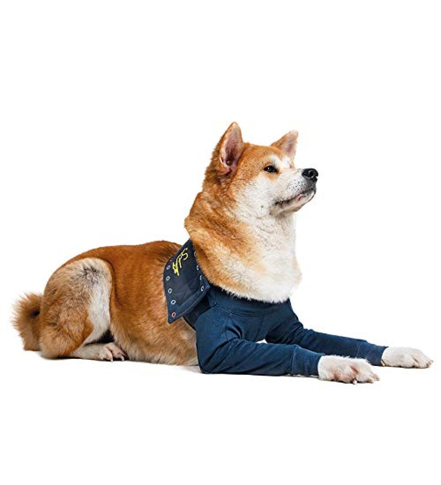 MPS Medical Pet Shirt - TAZ2 | Double Front Leg Cuff for Dogs - Size L | International Shipping Available - Buy Online on GoSupps.com