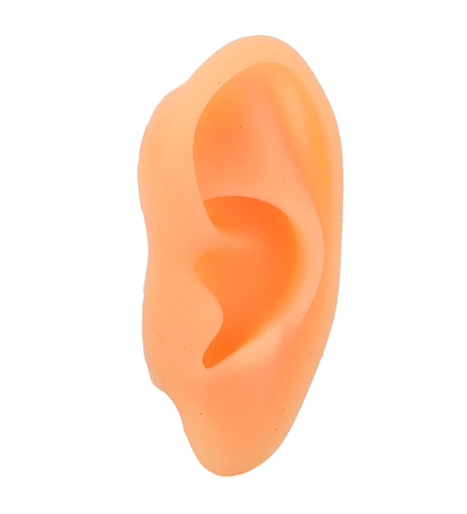 Flexible Soft Ear Display Mould Model for Hospitals - Right Ear | Educational, Waterproof - Buy Online on GoSupps.com