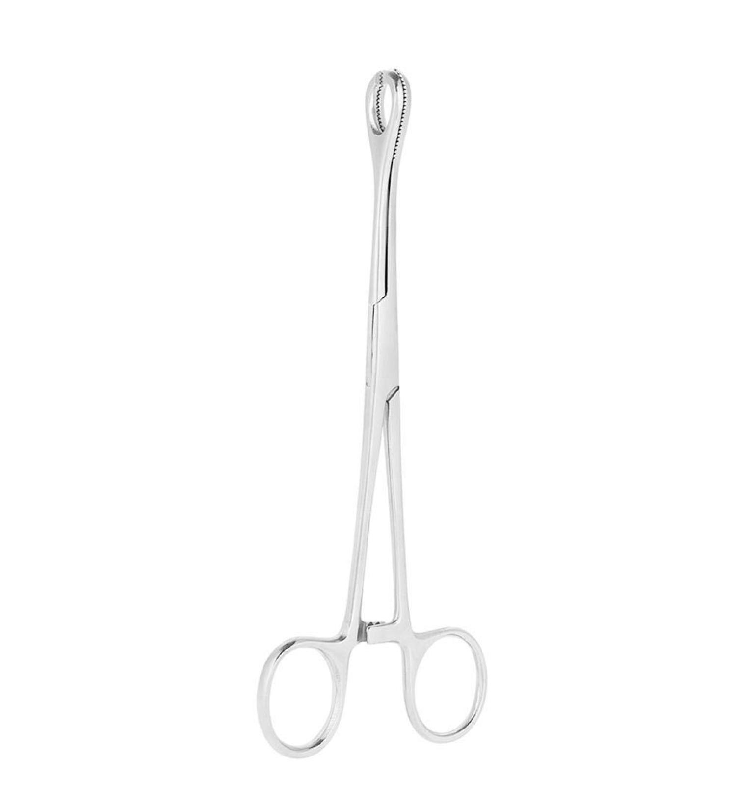 Professional Body Piercing Pliers Ear Lip Navel Nose Tongue Septum Sponge Forceps Clamp Body Piercing Pliers Tool for Tattoo/500/892 - Buy Online on GoSupps.com