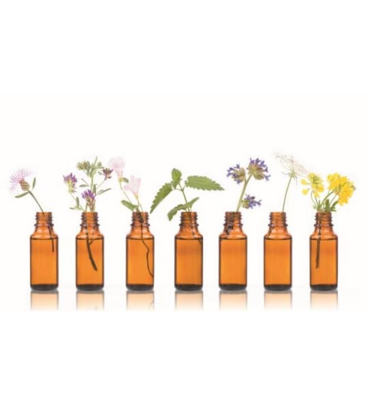 Eisenkraut l spanisch 10ml von Dragonspice Naturwaren 10ml