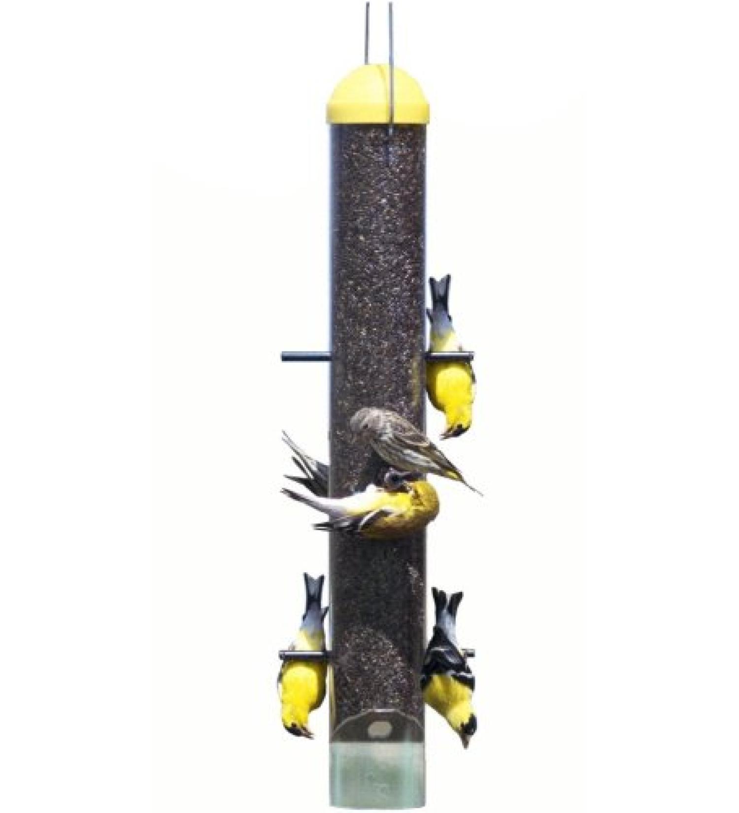 Perky-Pet 399 Thistle Feeder - Patented Upside Down Design - Buy Online on GoSupps.com