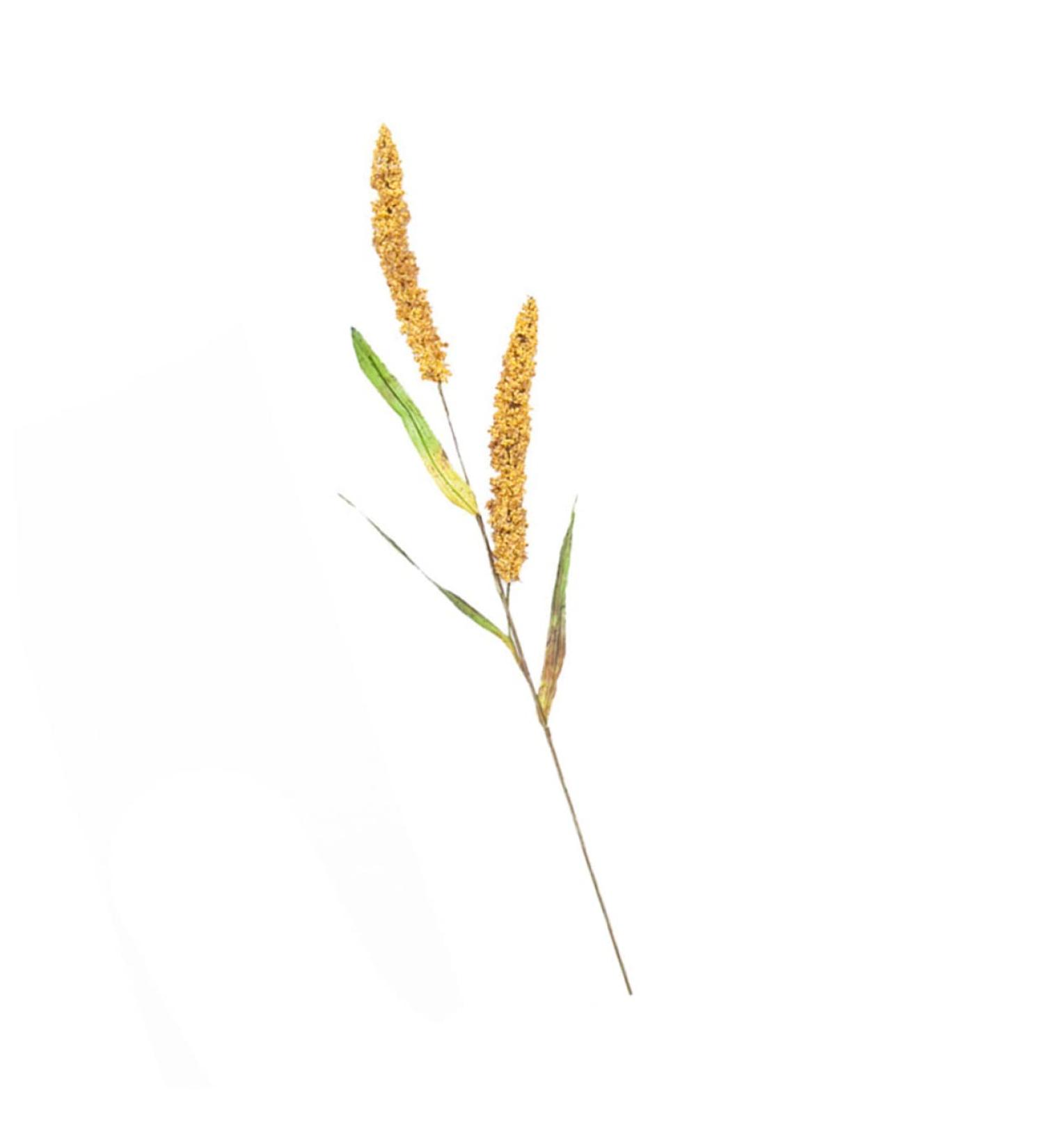 OUNONA Simulated Ears of Corn Grass Plume Artificial Millet Ears Fall Decor Wheat Decoration Thanksgiving Decorations Wheat Fake Grasses Bundle Plant Paddy Pvc Artificial Grass Golden 75.00X12.00X2.00CM - Buy Online on GoSupps.com
