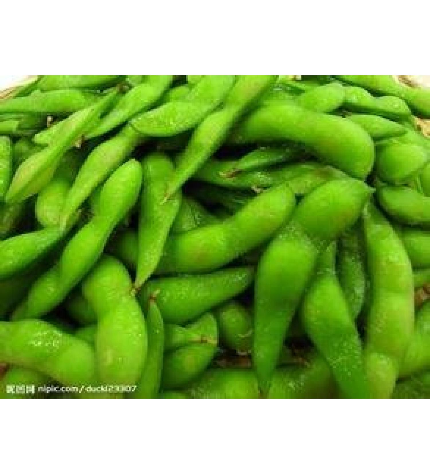 Trasporto Libero 1 Pack 20 di Edamame semi soia semi di soia Verde Verdura C032