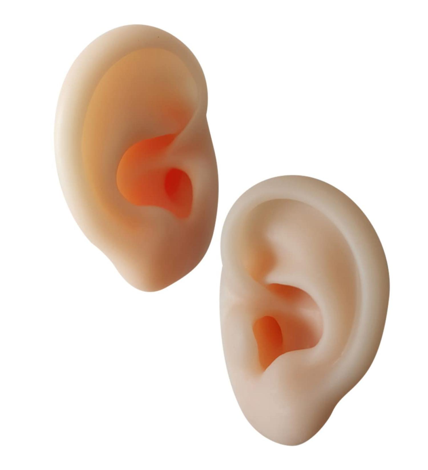 Silicone Ear Models - Practice Acupuncture and Medical Training - Buy Online on GoSupps.com