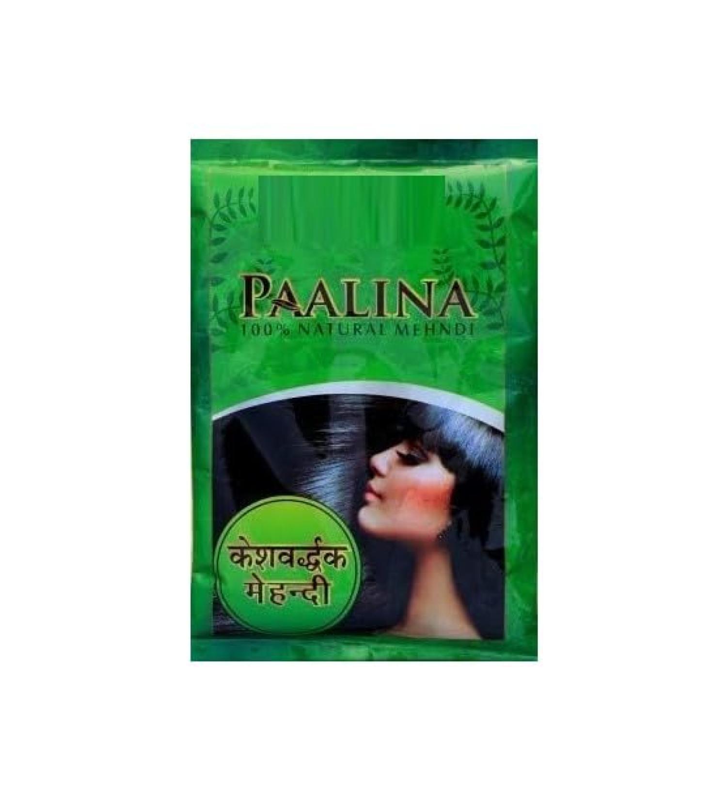 YAAJ Herbal Mehndi Paalina 100% Natural for Men and Women Pack of 2 (300g)