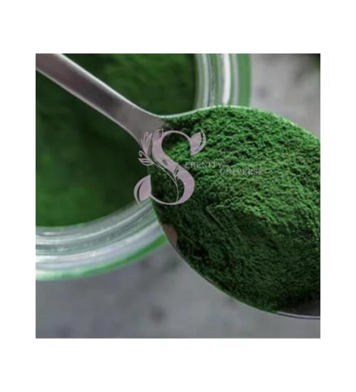 Chlorella Powder (1 LB) - Buy Online on GoSupps.com